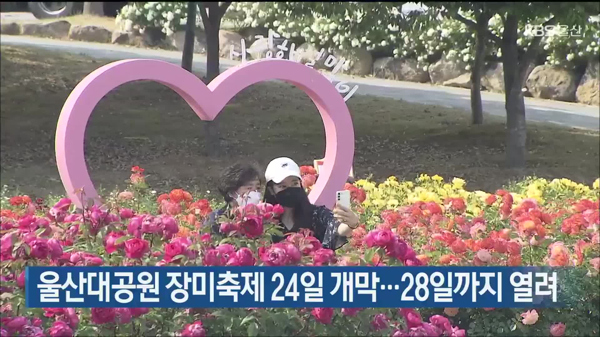 울산대공원 장미축제 24일 개막…28일까지 열려