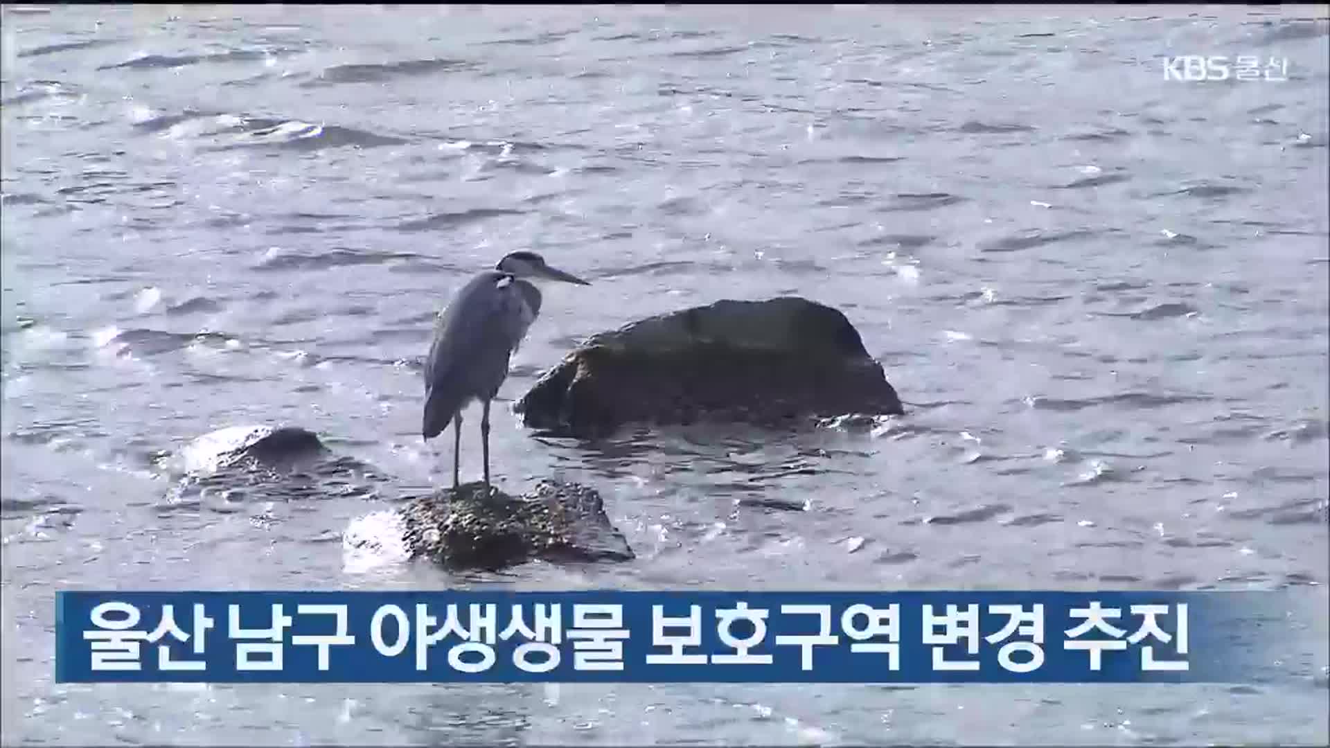 울산 남구 야생생물 보호구역 변경 추진