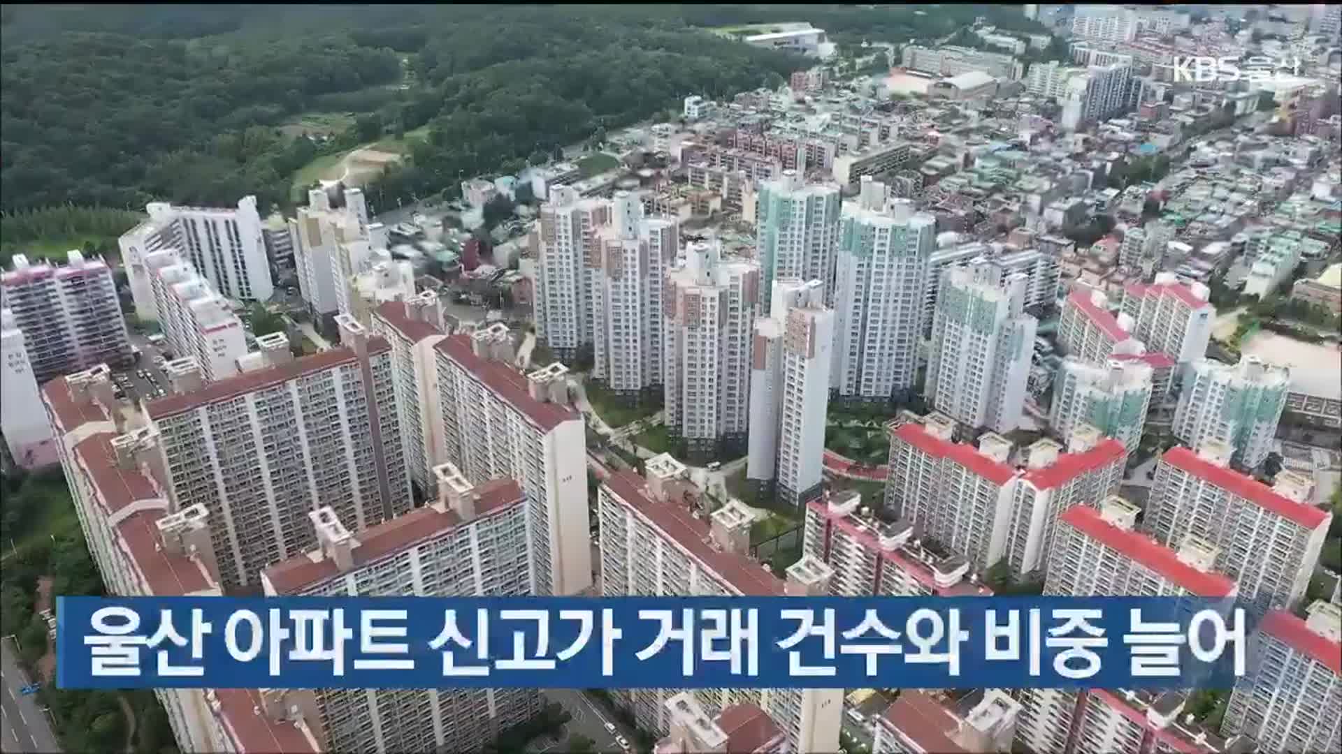 울산 아파트 신고가 거래 건수와 비중 늘어