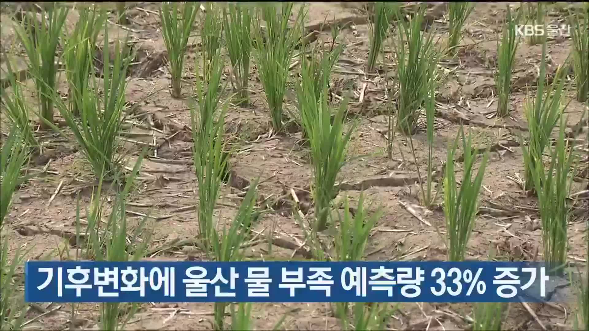 기후변화에 울산 물 부족 예측량 33% 증가