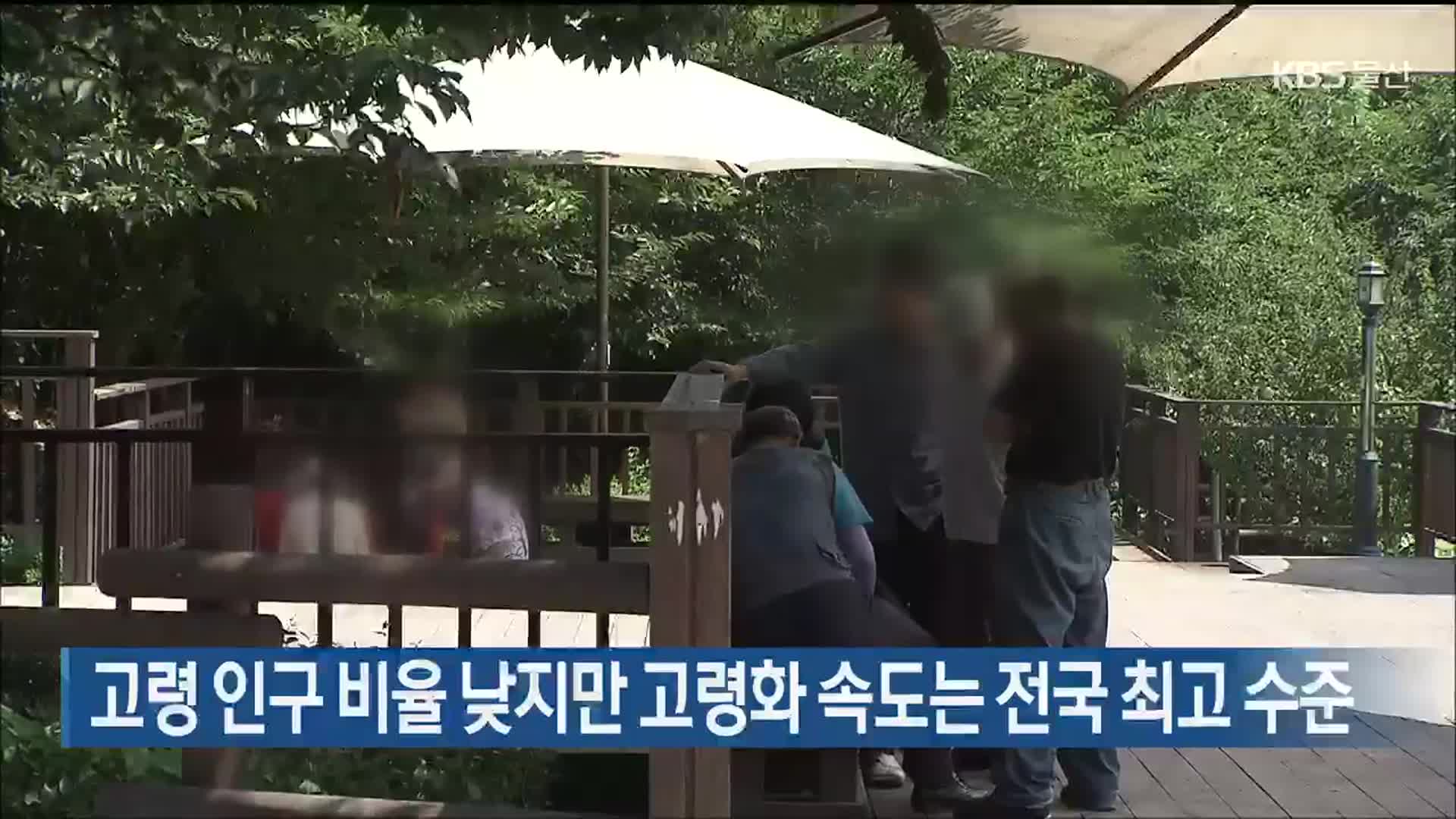 고령 인구 비율 낮지만 고령화 속도는 전국 최고 수준