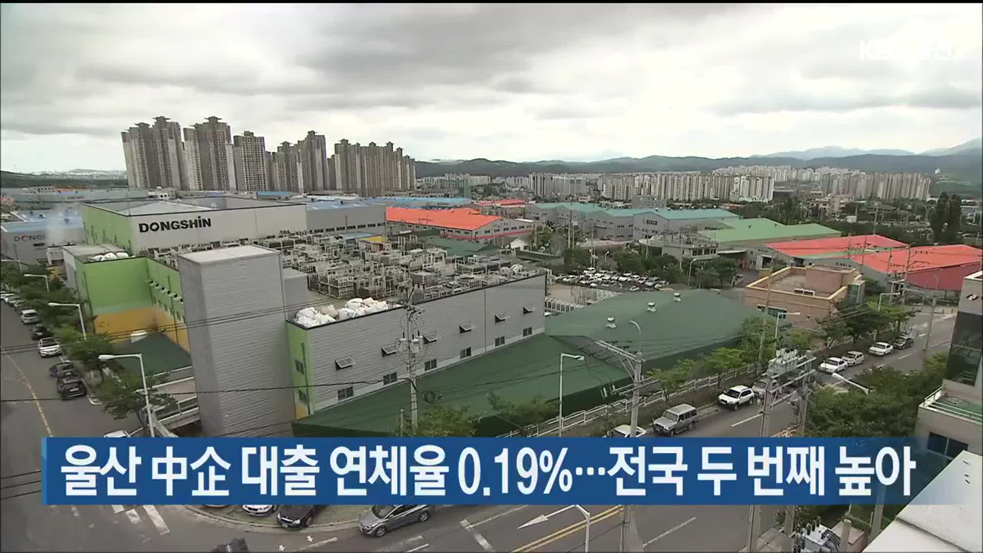 울산 中企 대출 연체율 0.19%…전국 두 번째 높아