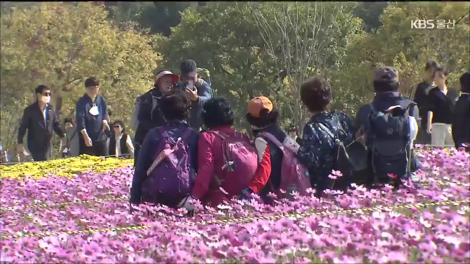 가을에 물든 국가정원…나들이객 ‘북적’