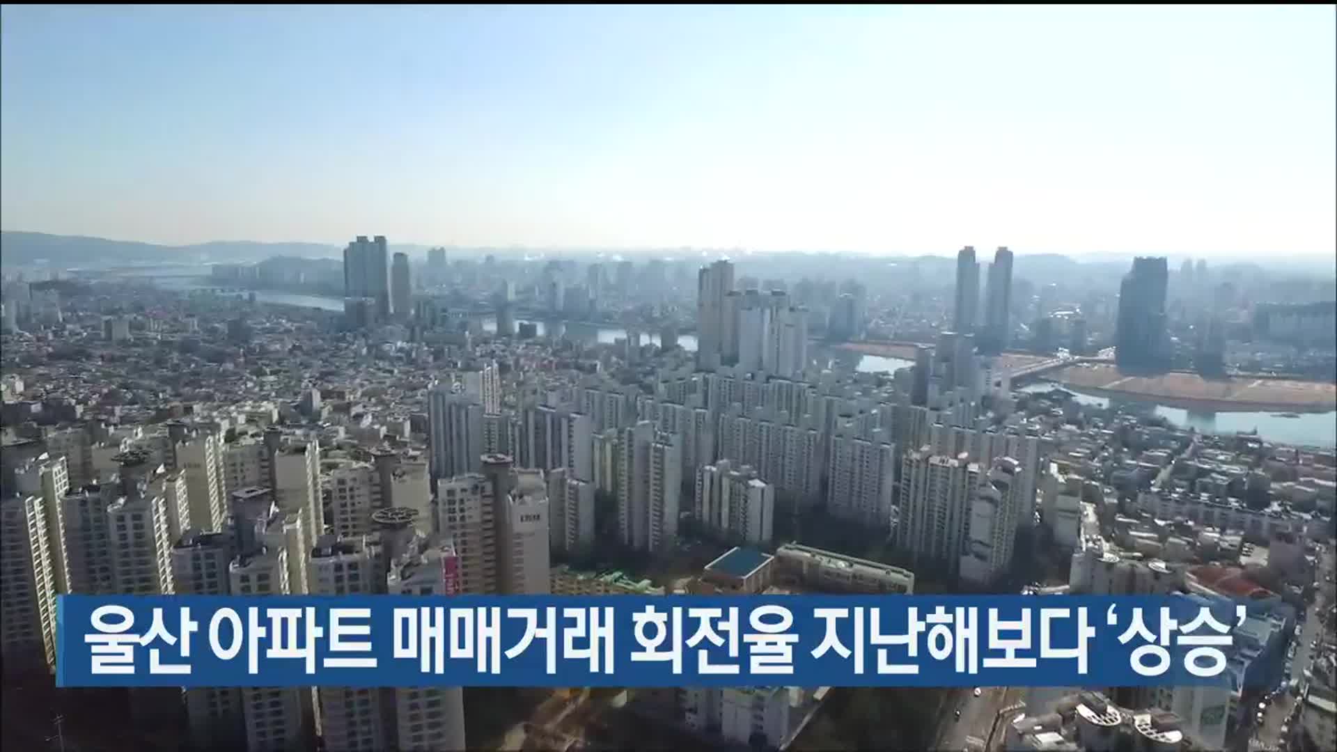 울산 아파트 매매거래 회전율 지난해보다 ‘상승’