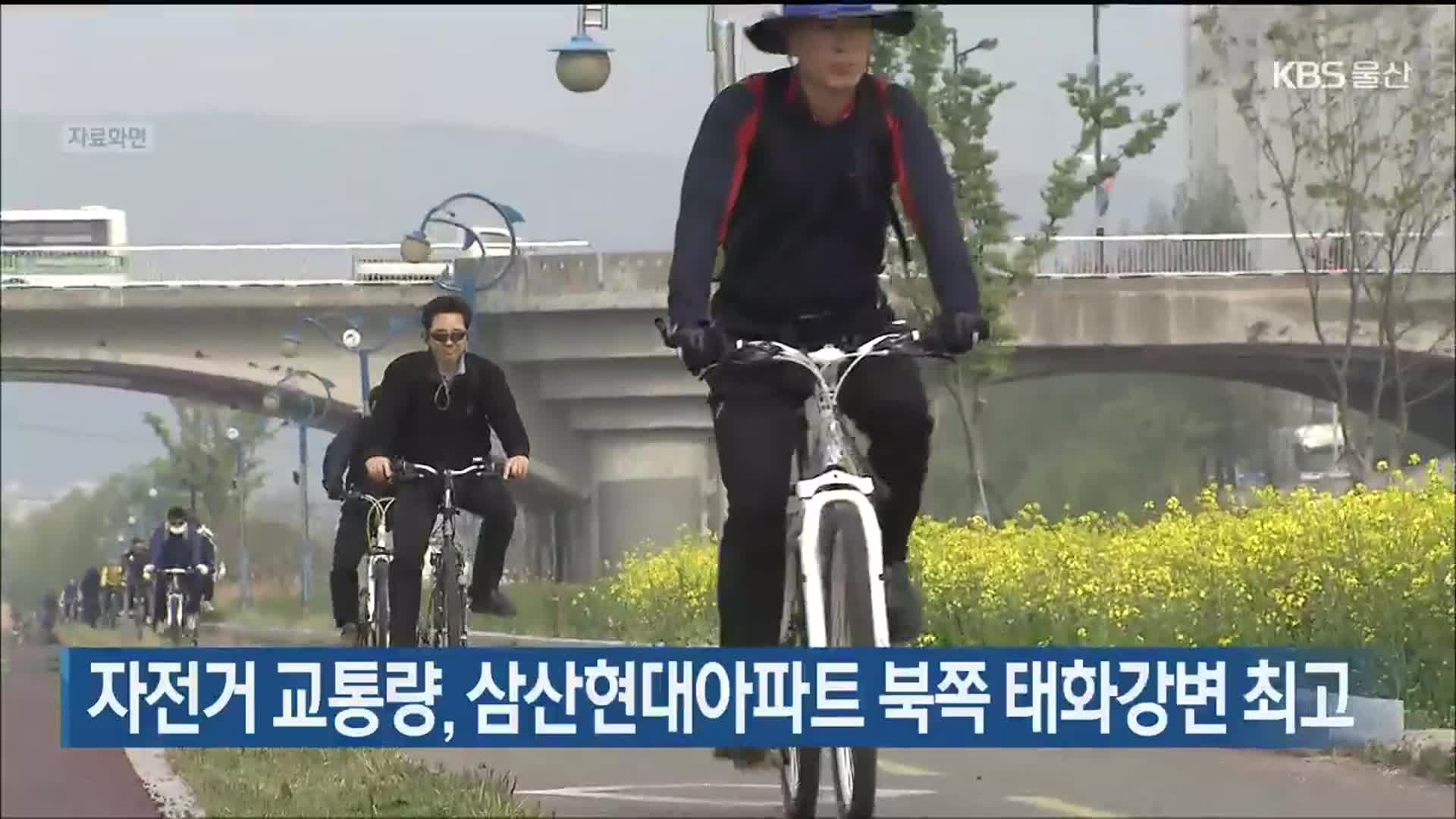 자전거 교통량, 삼산현대아파트 북쪽 태화강변 최고