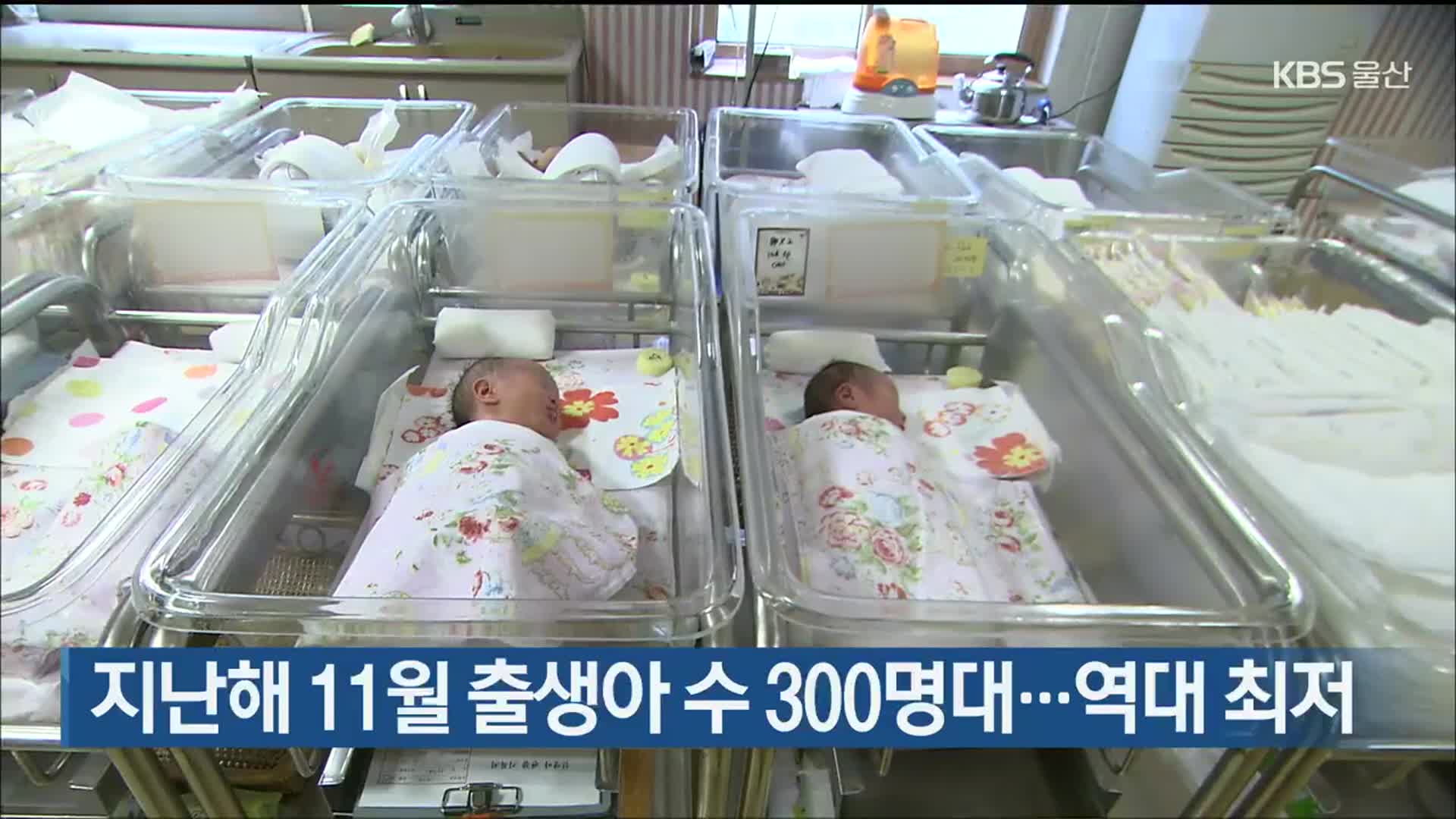지난해 11월 출생아 수 300명대…역대 최저