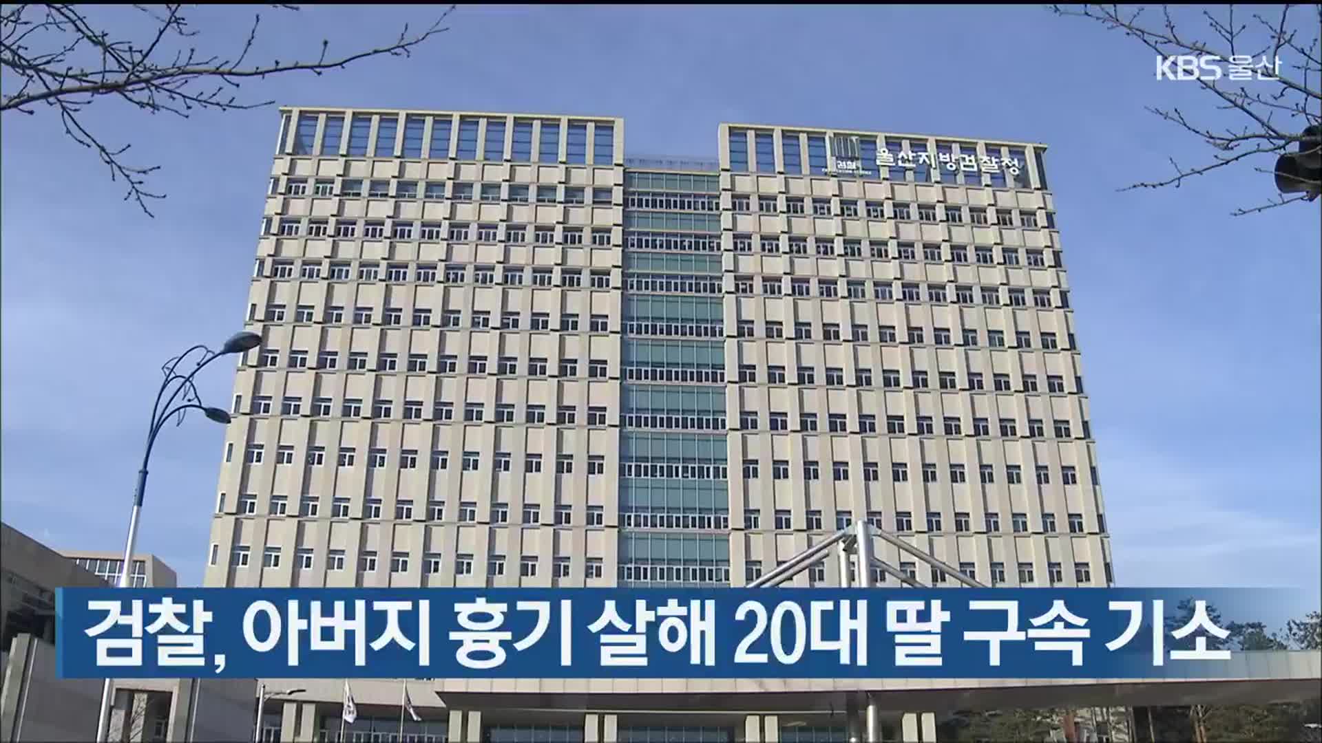 검찰, 아버지 흉기 살해 20대 딸 구속 기소