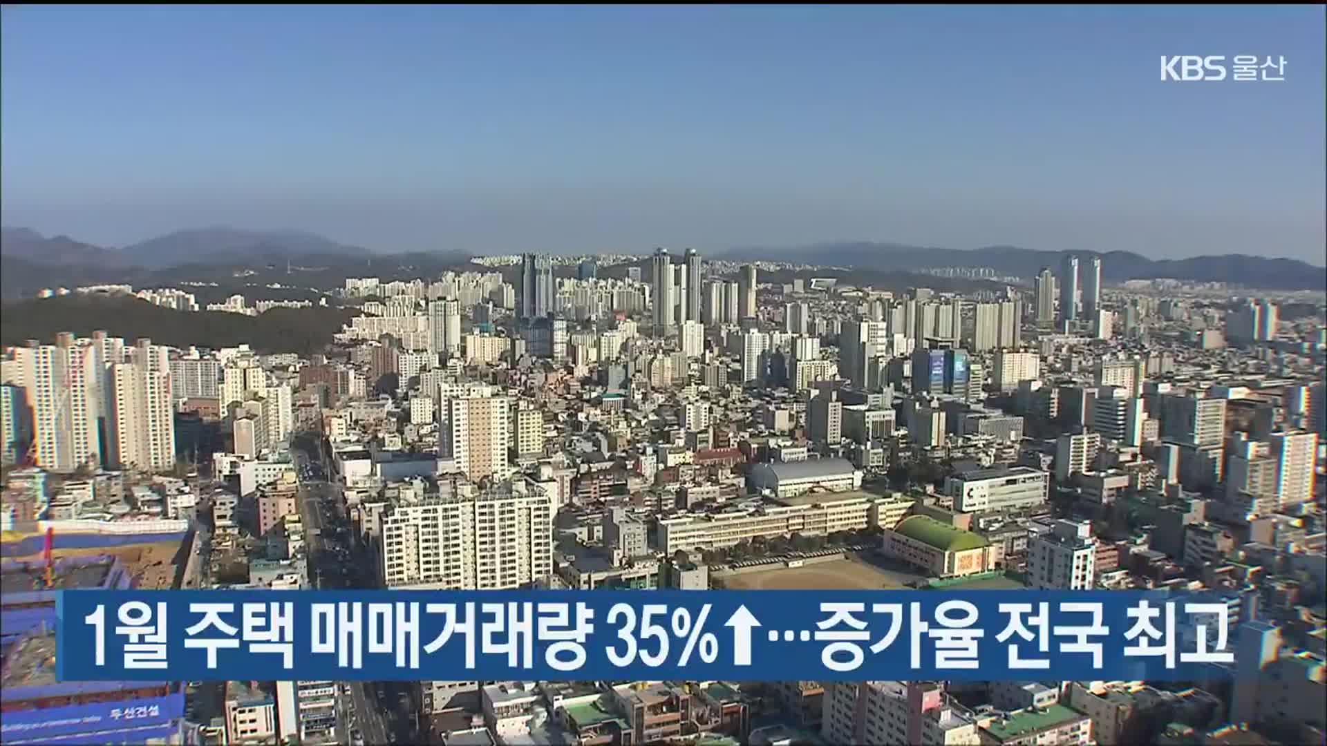 1월 주택 매매거래량 35%↑…증가율 전국 최고