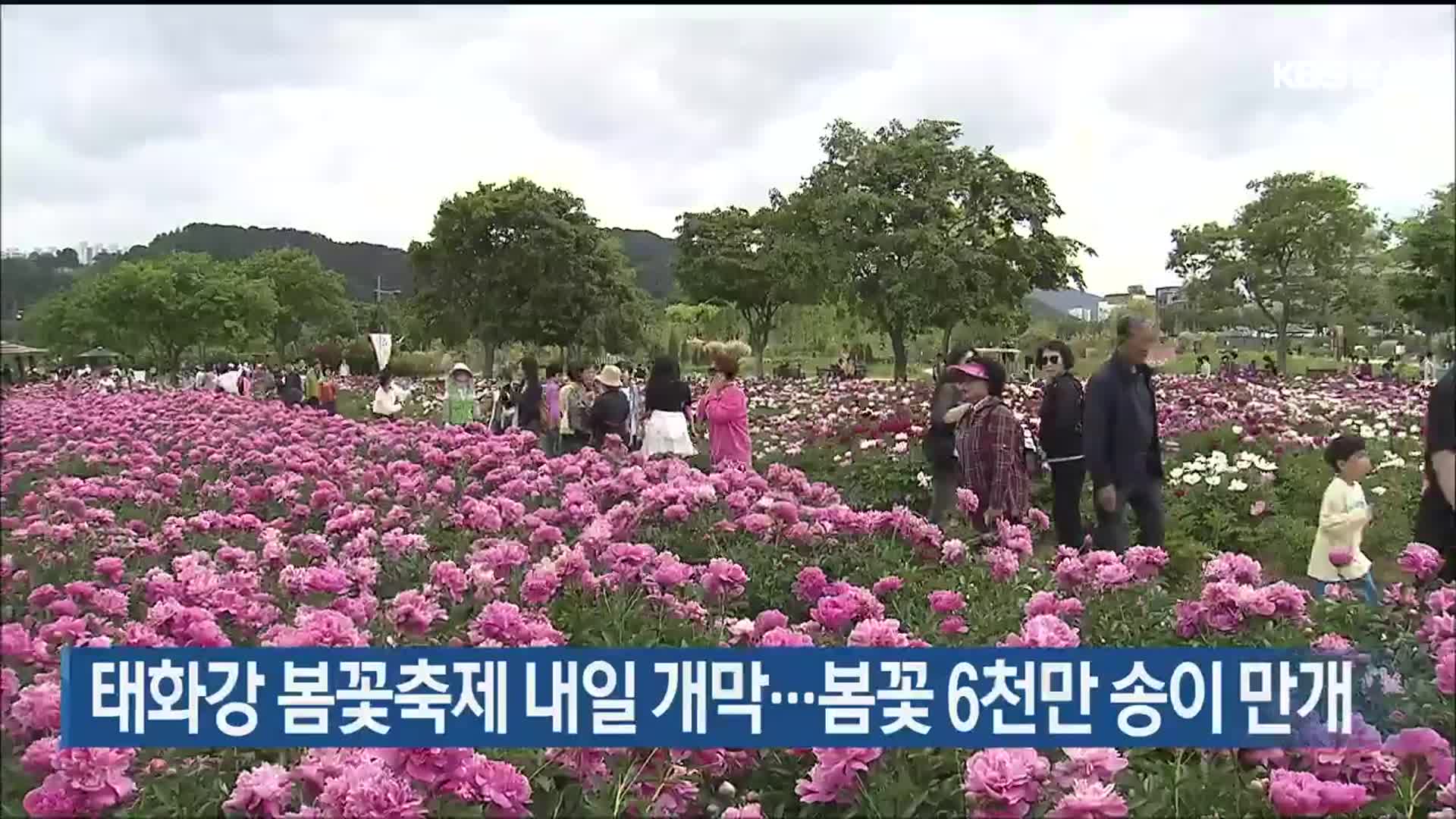 태화강 봄꽃축제 내일 개막…봄꽃 6천만 송이 만개