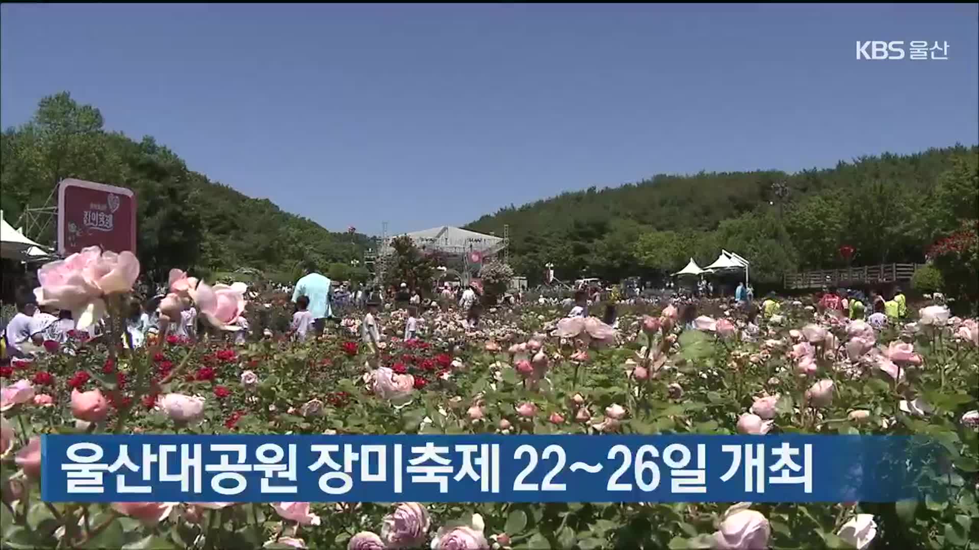 울산대공원 장미축제 22~26일 개최