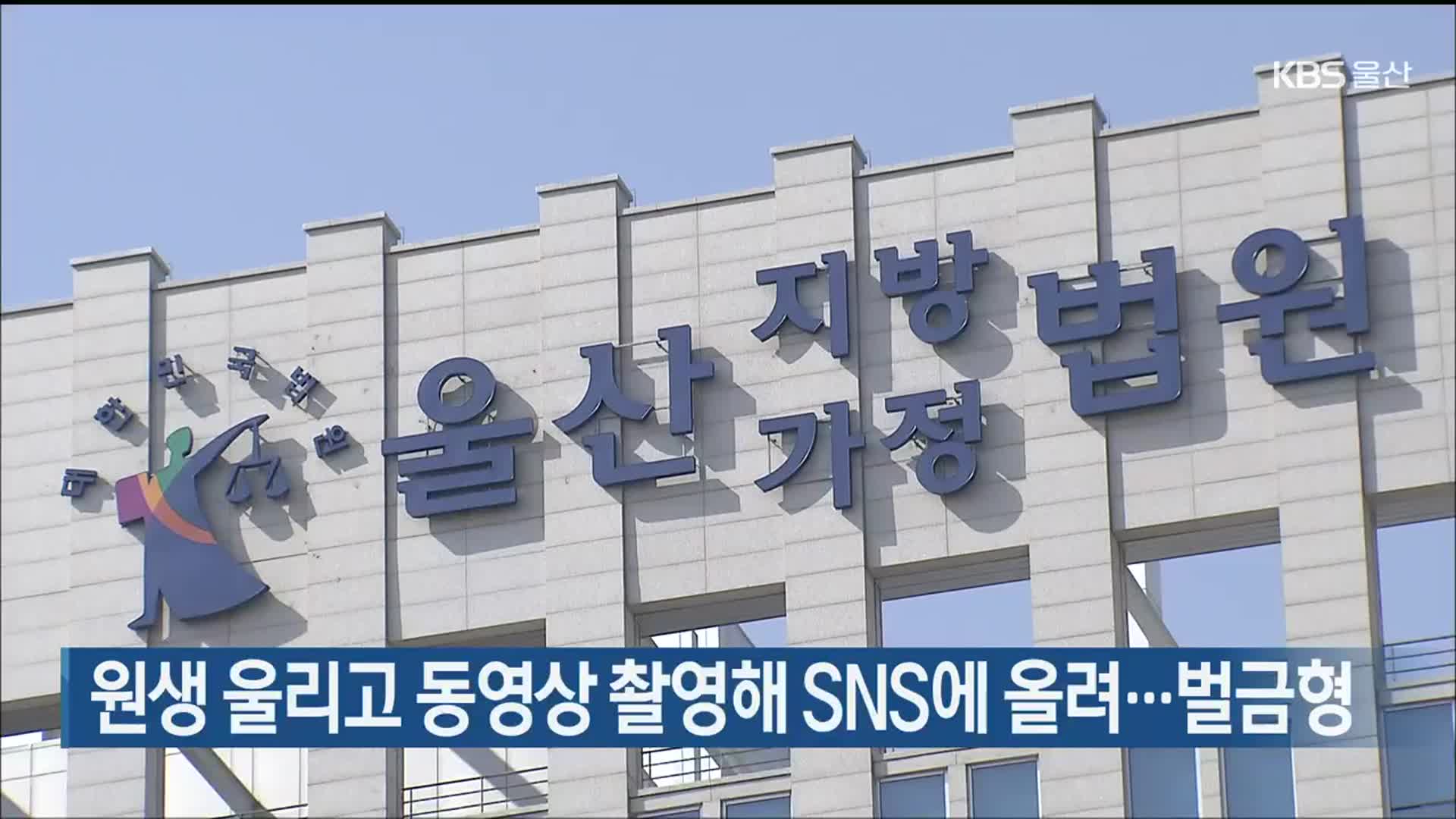 원생 울리고 동영상 촬영해 SNS에 올려…벌금형