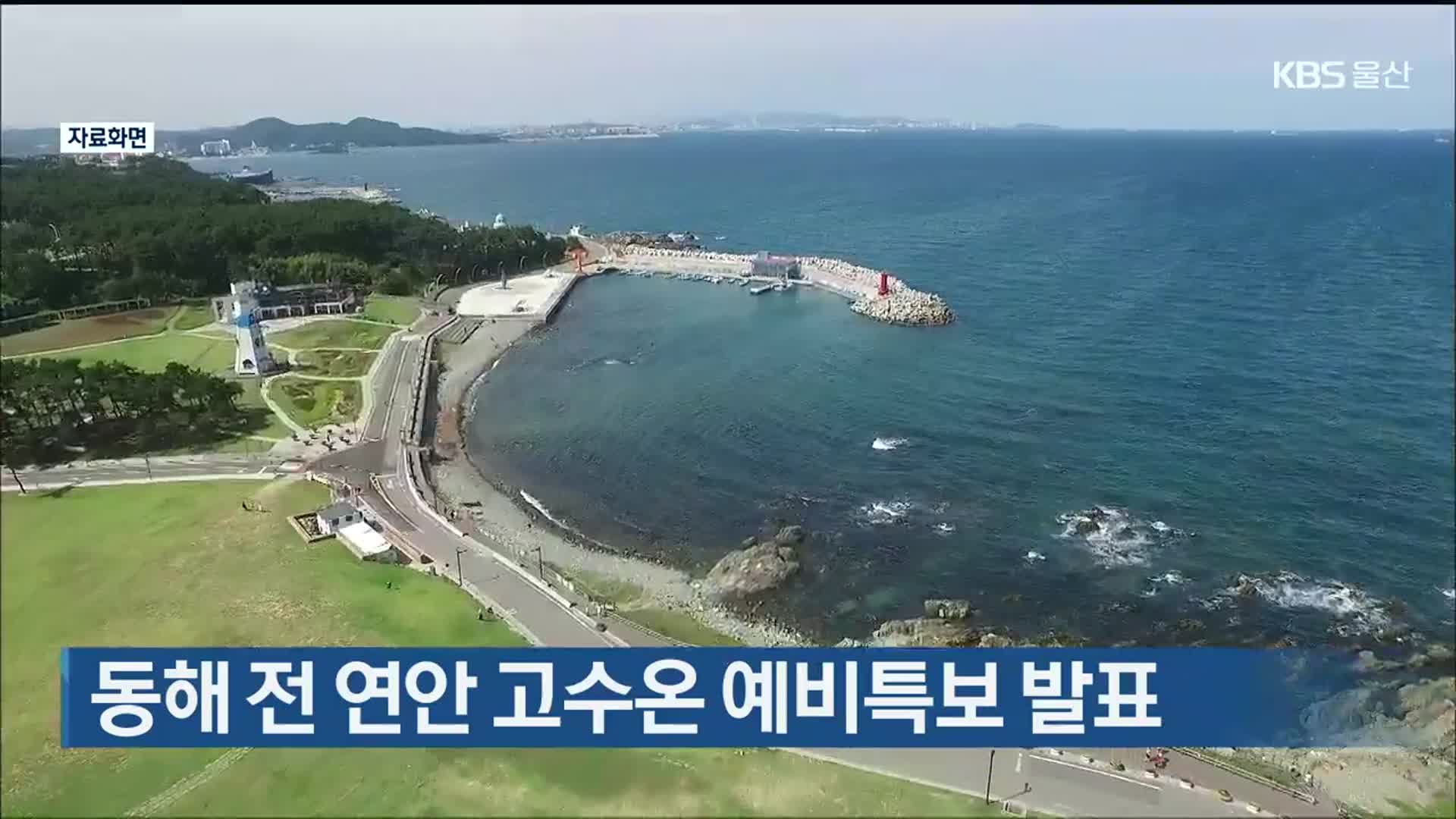 동해 전 연안 고수온 예비특보 발표