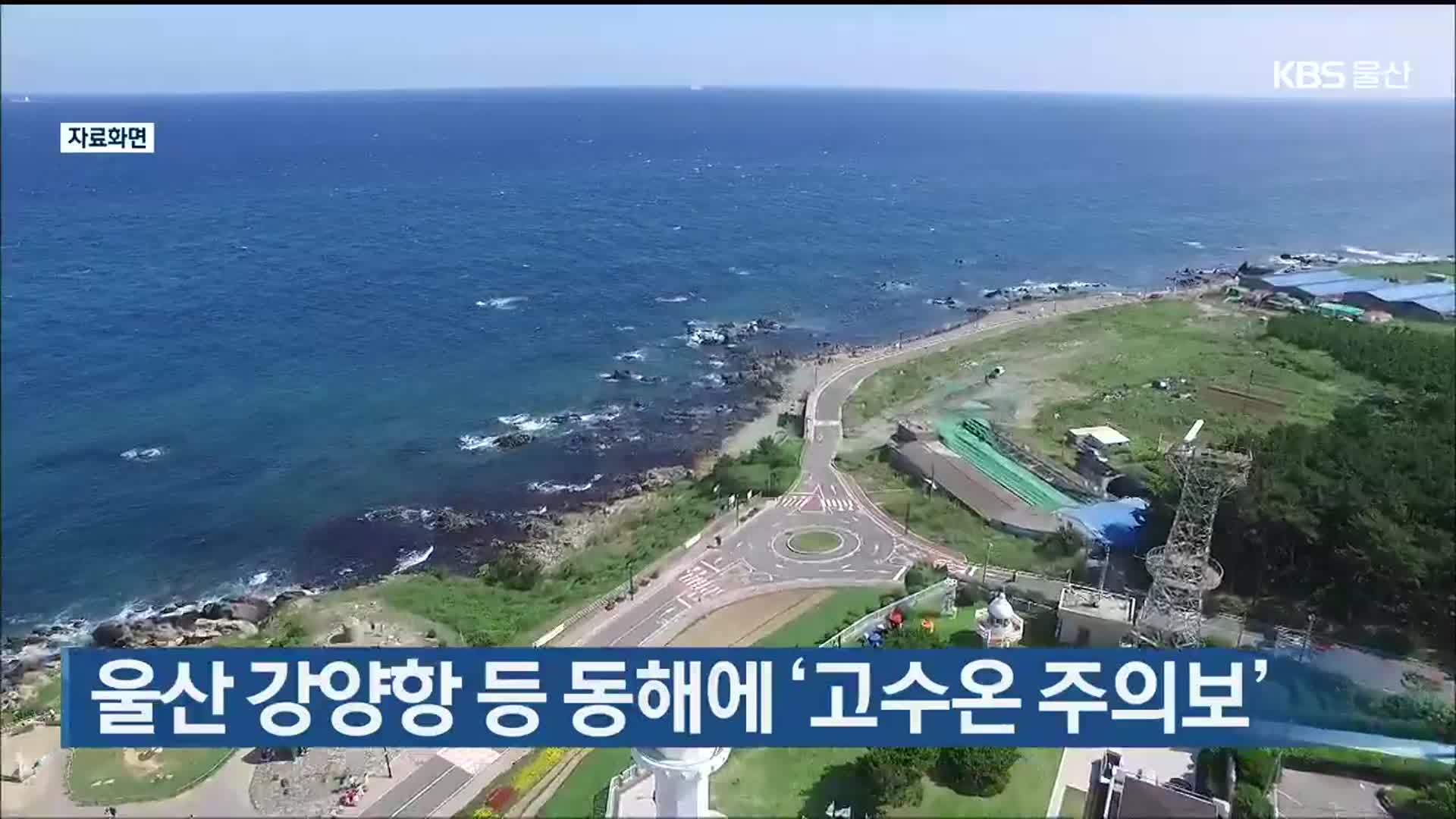 울산 강양항 등 동해에 ‘고수온 주의보’