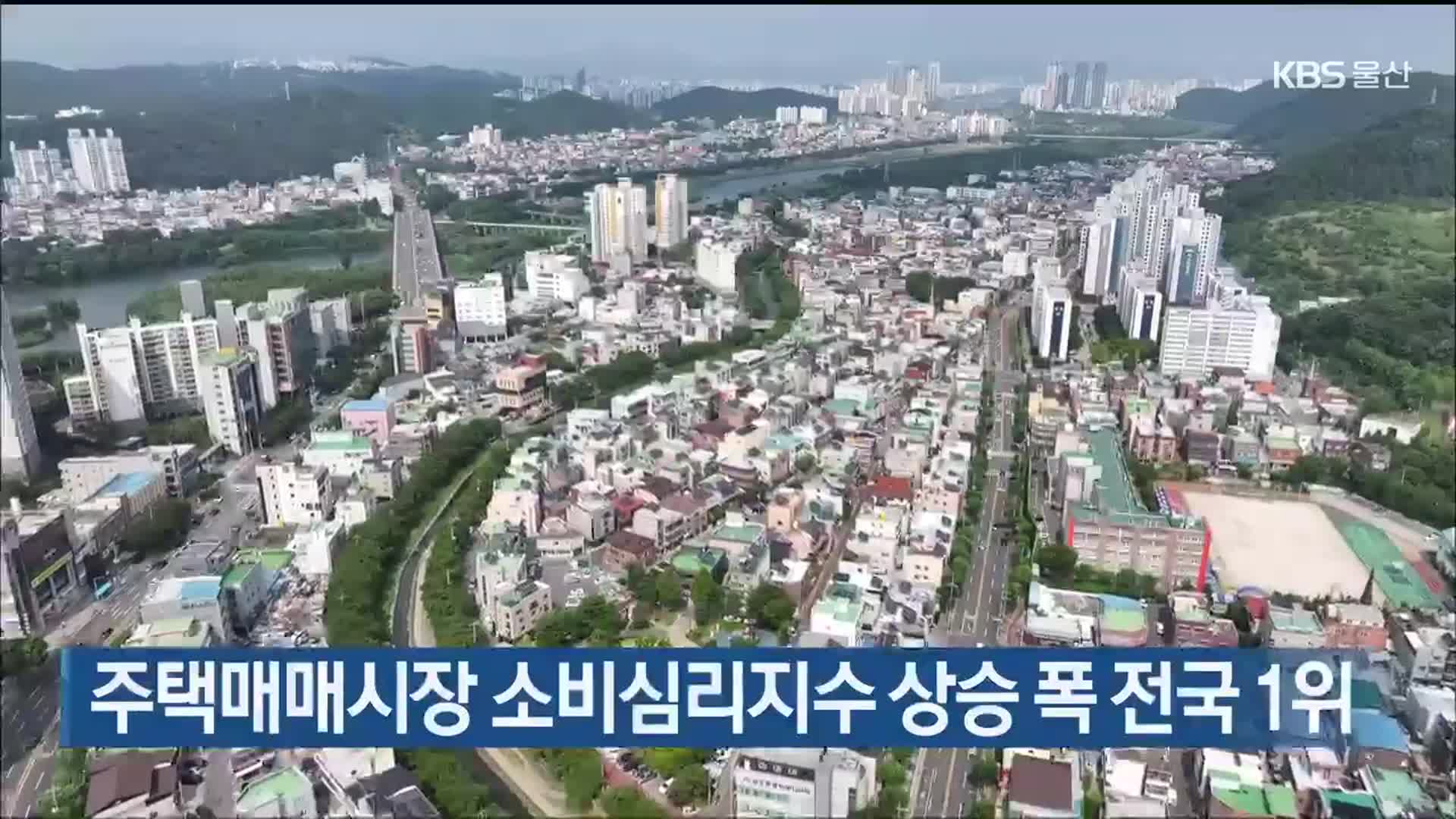 울산 주택매매시장 소비심리지수 상승 폭 전국 1위