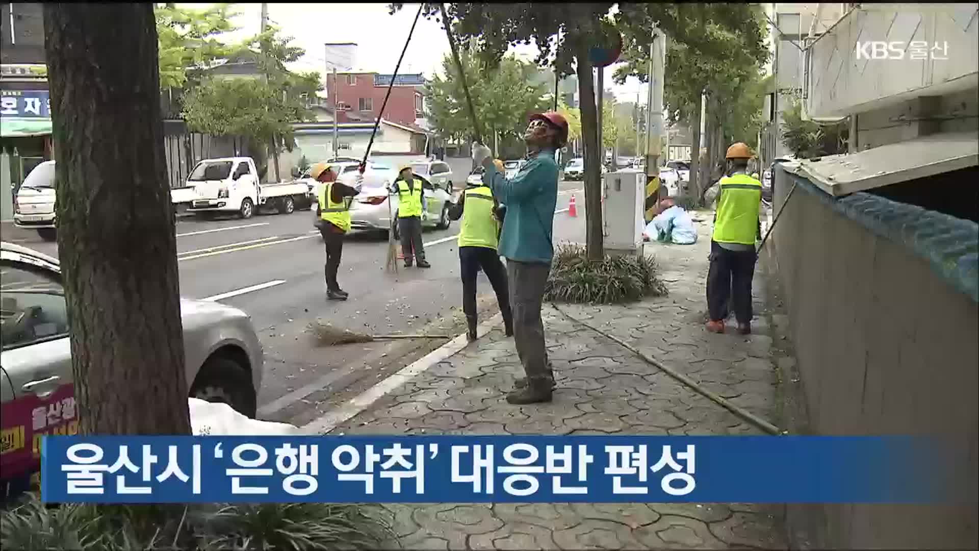 울산시 ‘은행 악취’ 대응반 편성