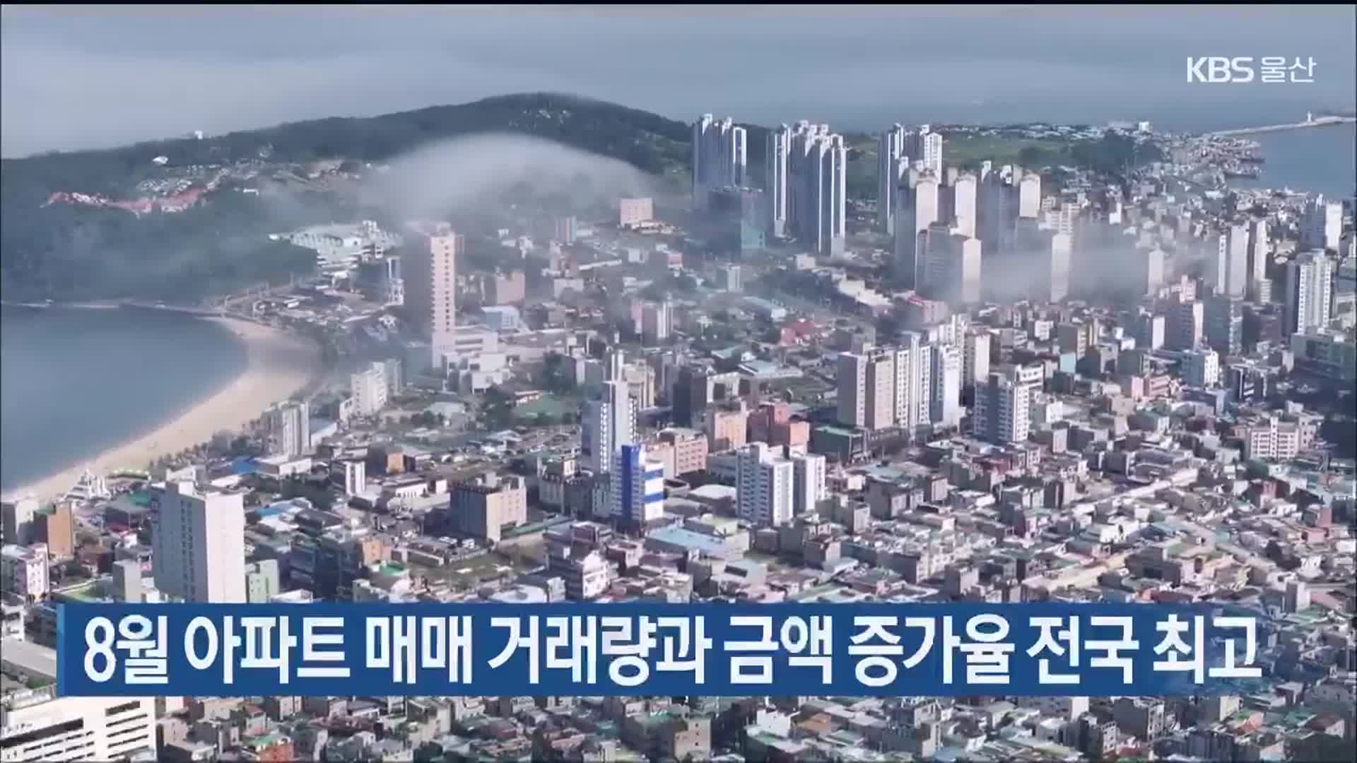 울산 8월 아파트 매매 거래량과 금액 증가율 전국 최고