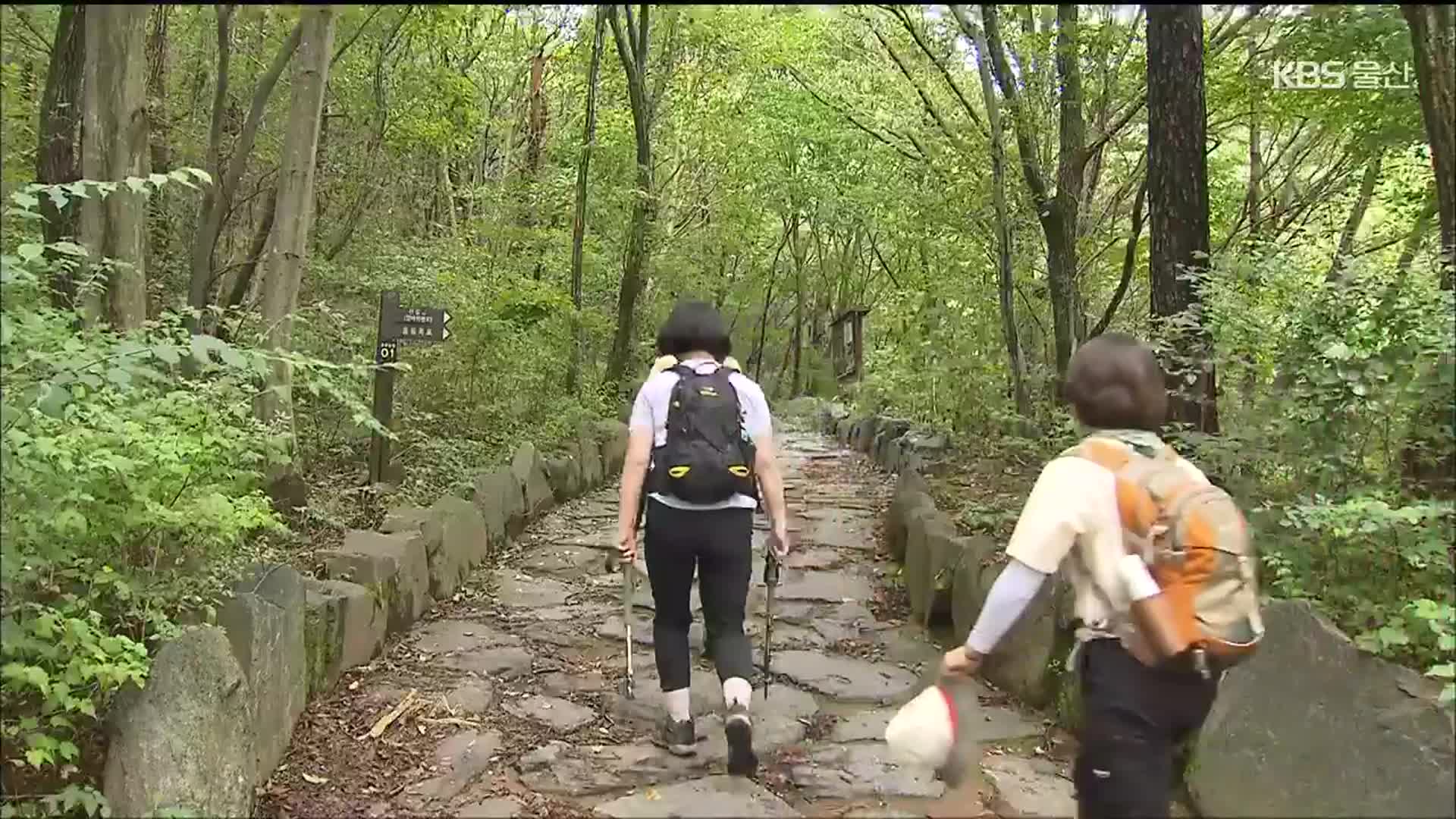 등산의 계절…‘산악 사고’ 대처법은?