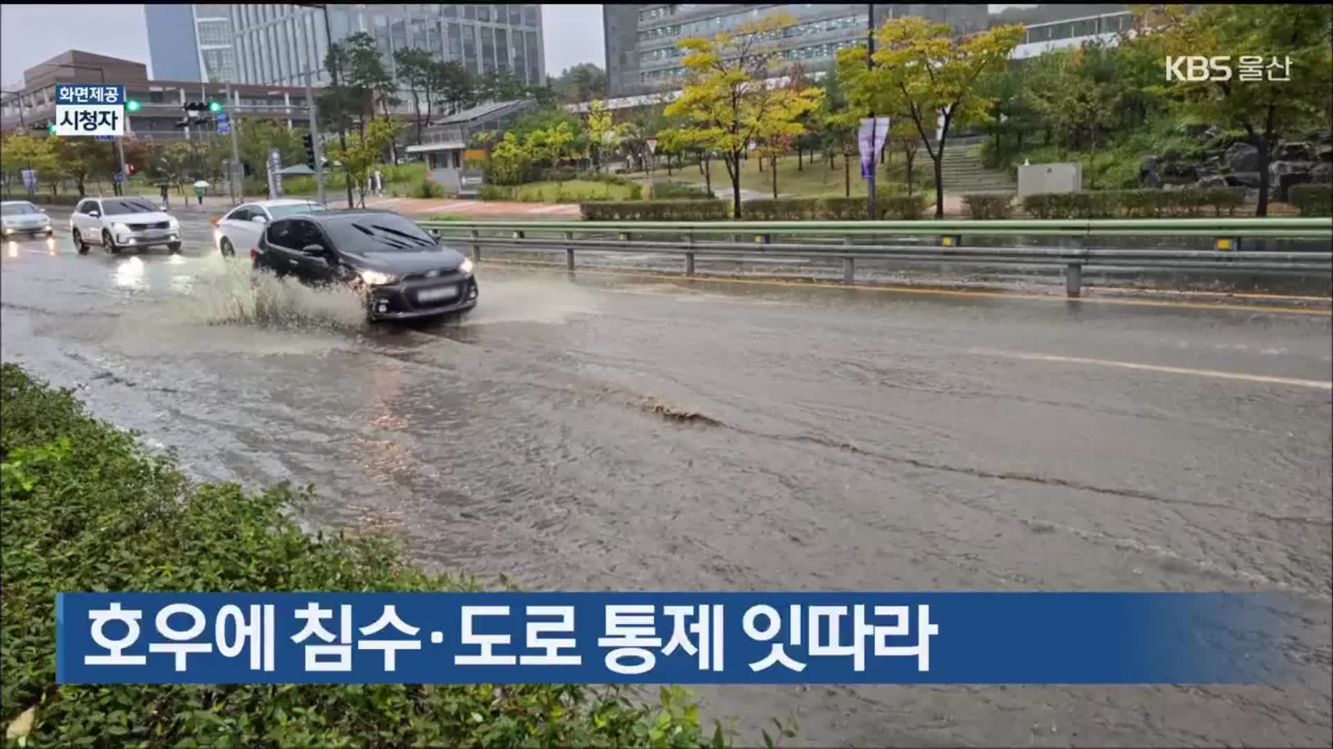 울산 호우에 침수·도로 통제 잇따라