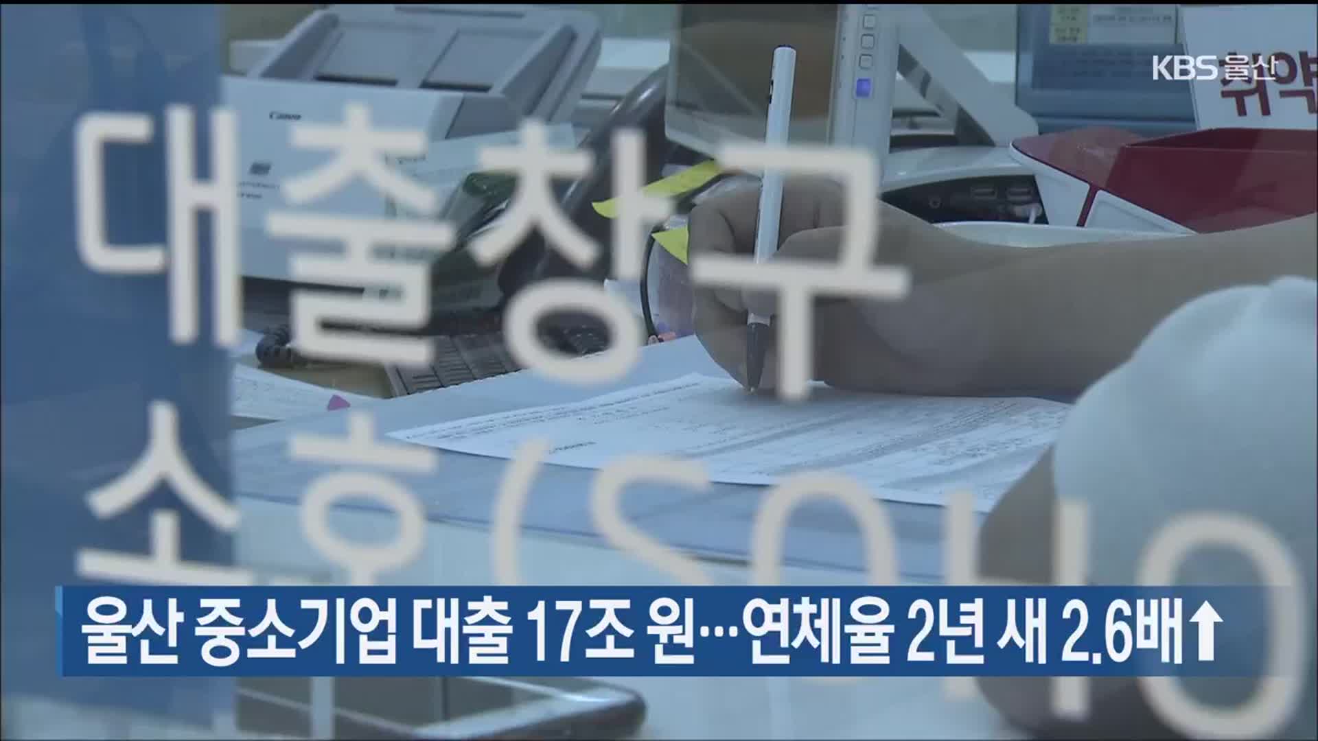 울산 중소기업 대출 17조 원…연체율 2년 새 2.6배↑