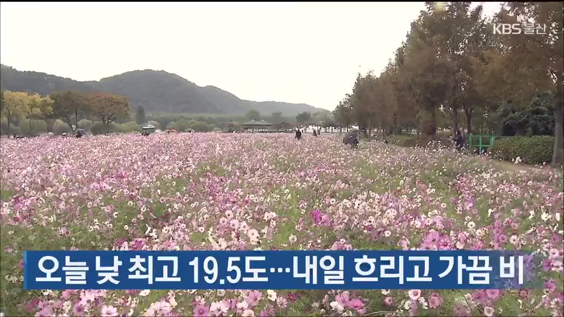 울산 오늘 낮 최고 19.5도…내일 흐리고 가끔 비