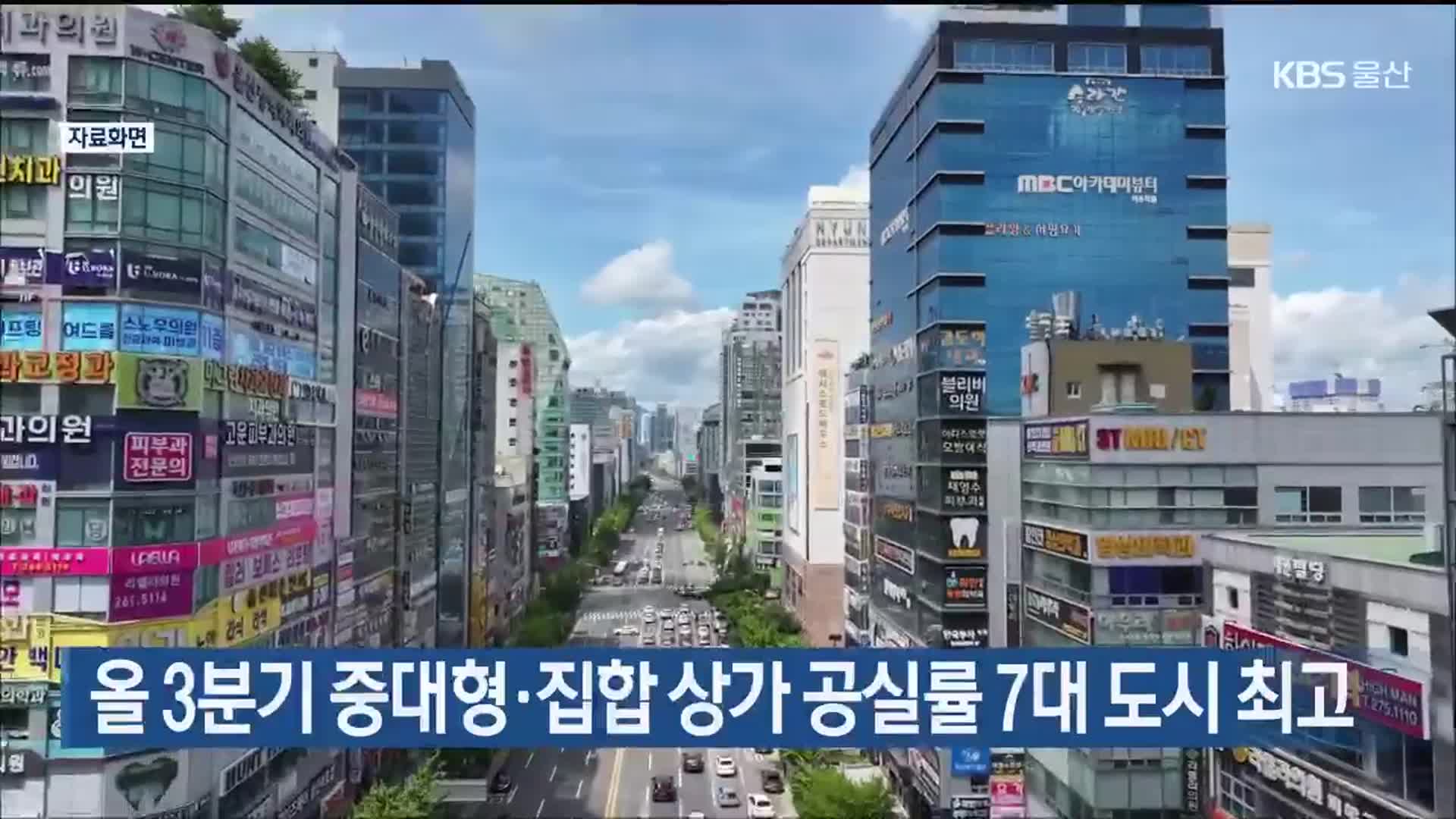 올 3분기 중대형·집합 상가 공실률 7대 도시 최고