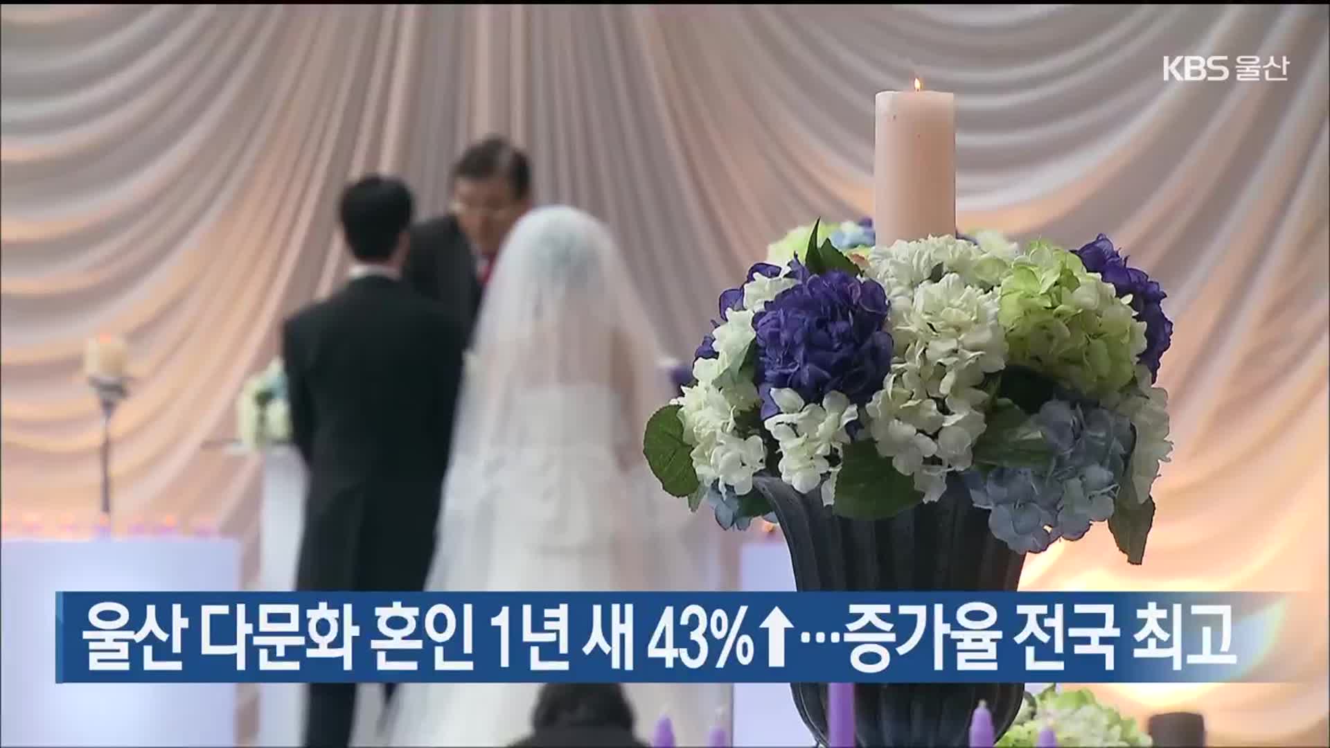 울산 다문화 혼인 1년 새 43%↑…증가율 전국 최고