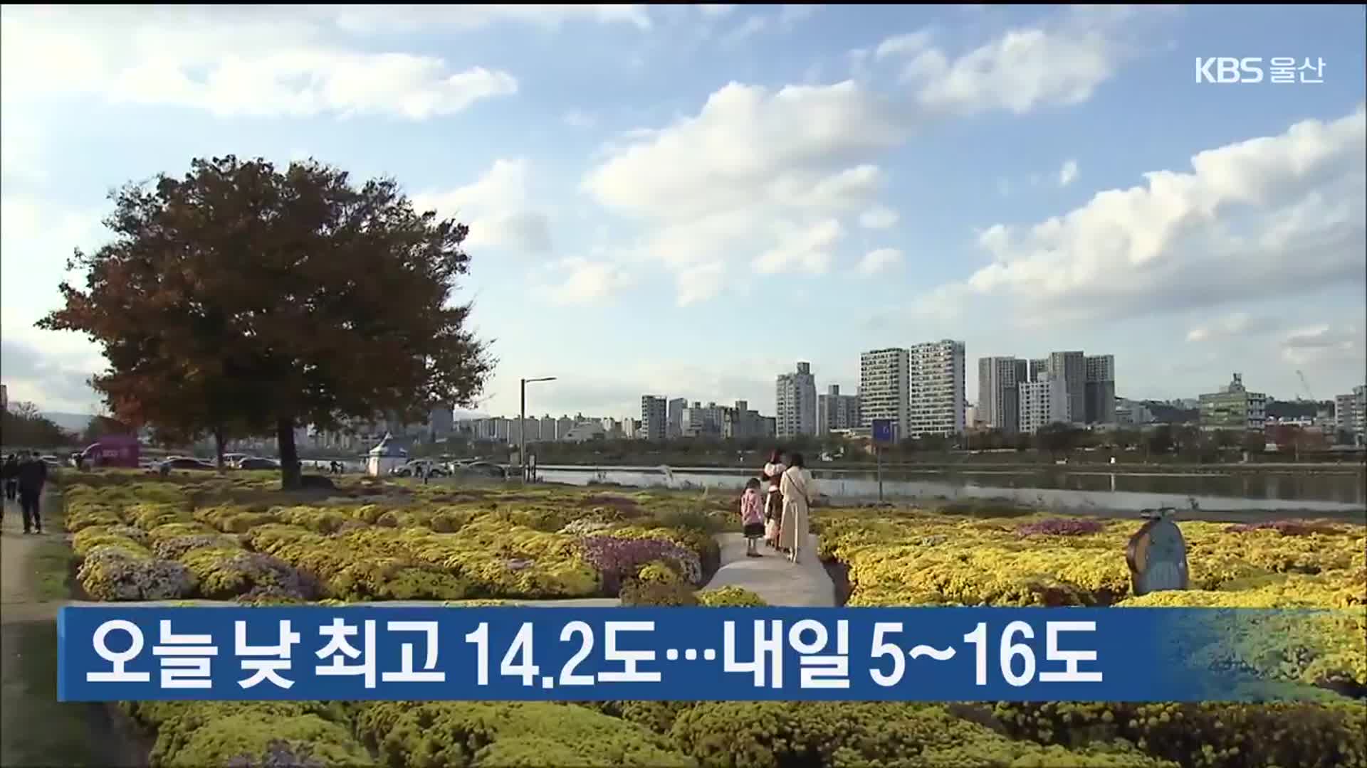 울산 오늘 낮 최고 14.2도…내일 5~16도