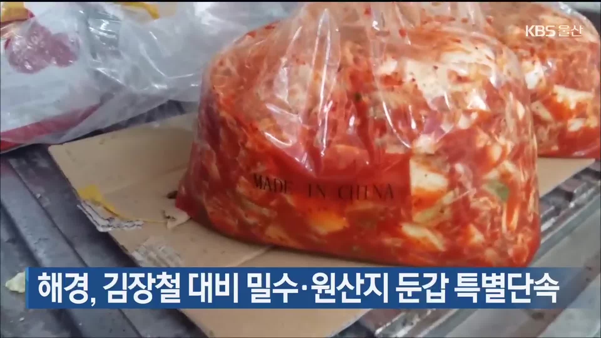 해경, 김장철 대비 밀수·원산지 둔갑 특별단속