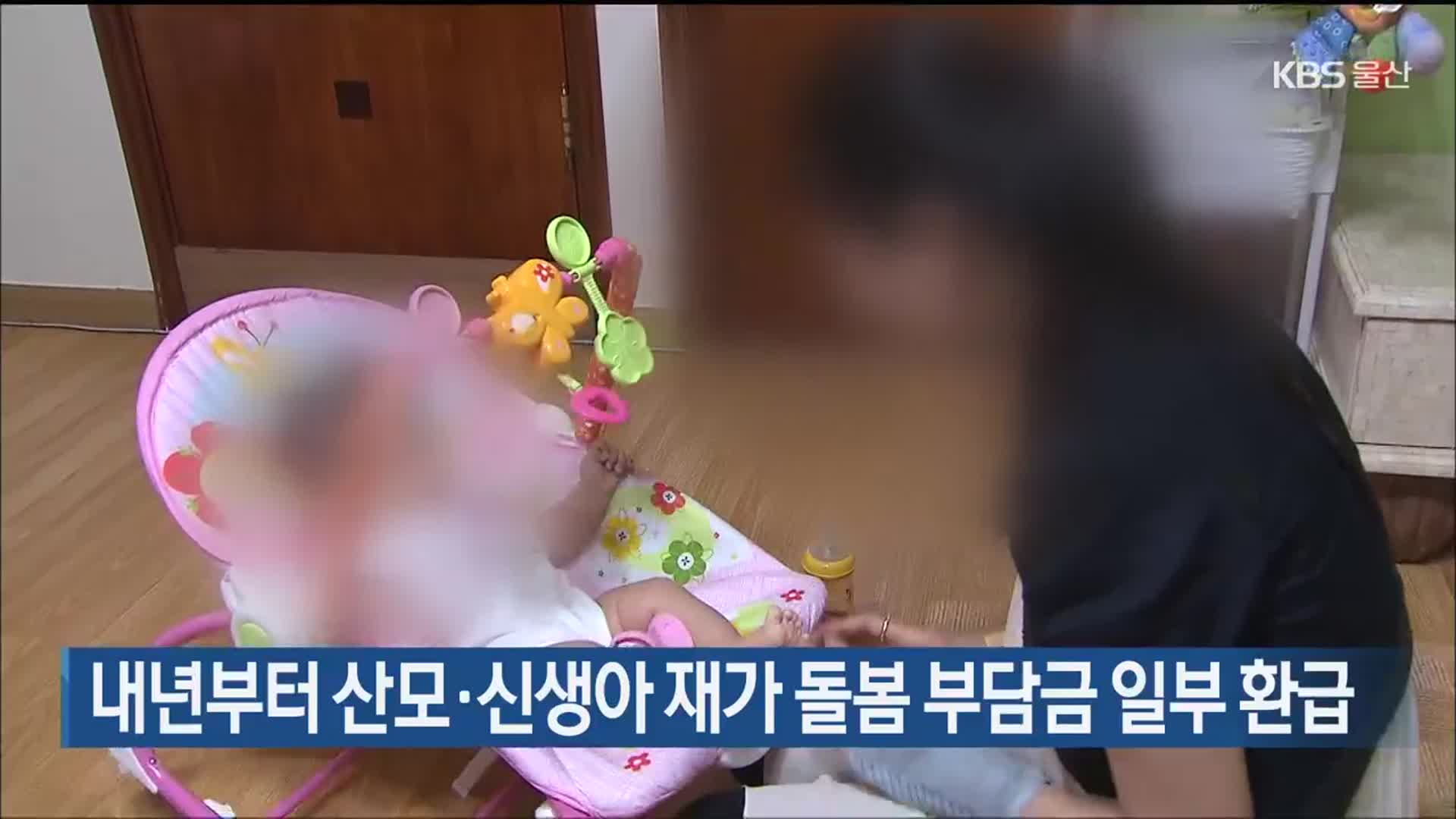 내년부터 산모·신생아 재가 돌봄 부담금 일부 환급