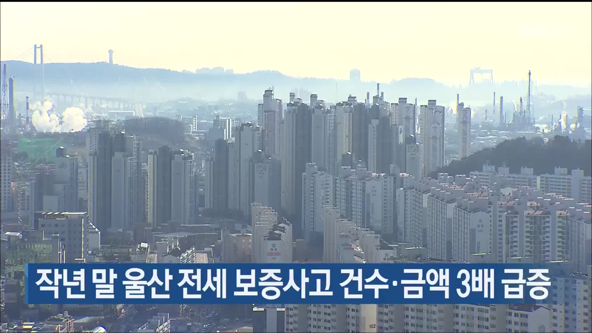 작년 말 울산 전세 보증사고 건수·금액 3배 급증