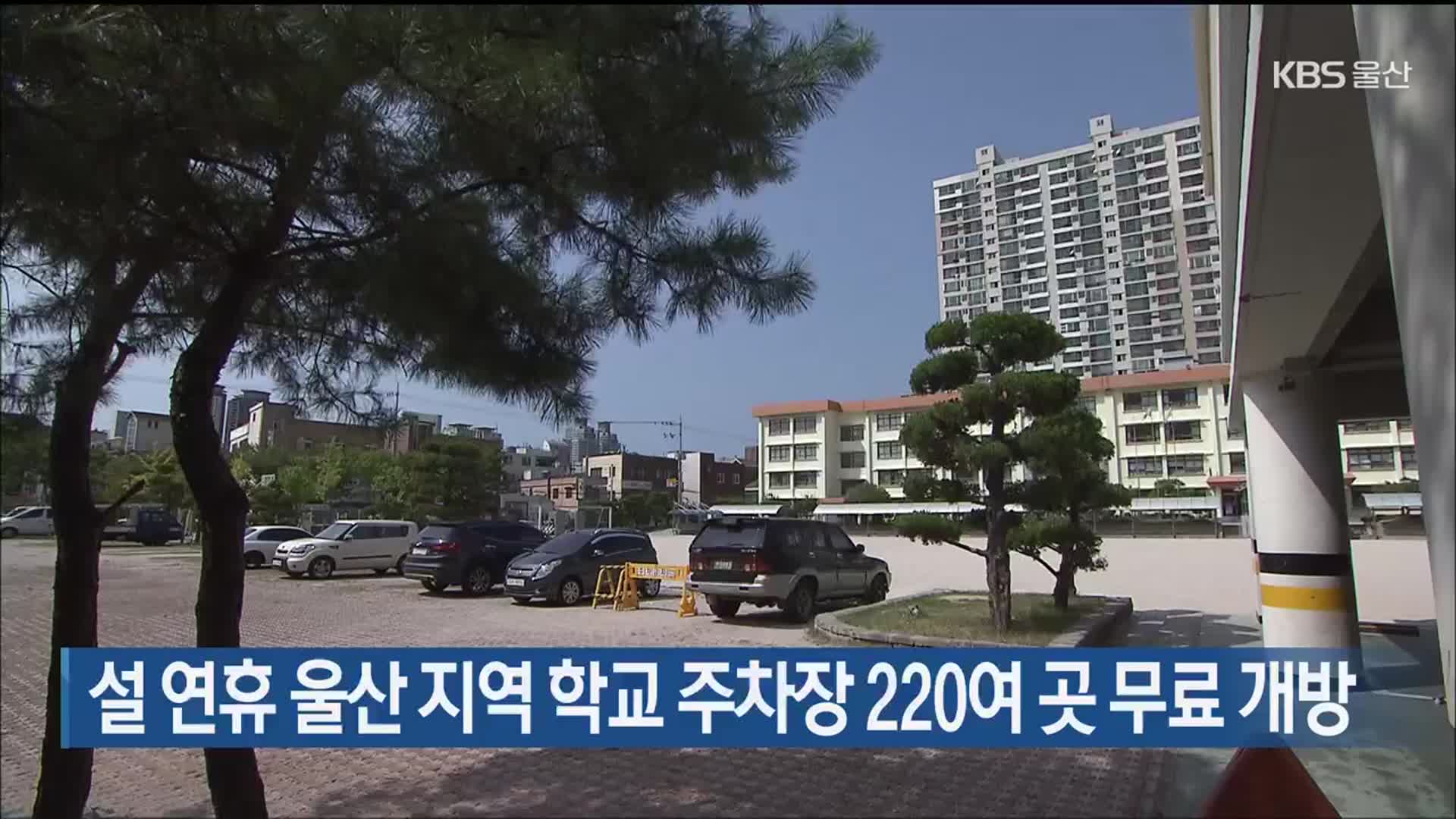 설 연휴 울산지역 학교 주차장 220여 곳 무료 개방