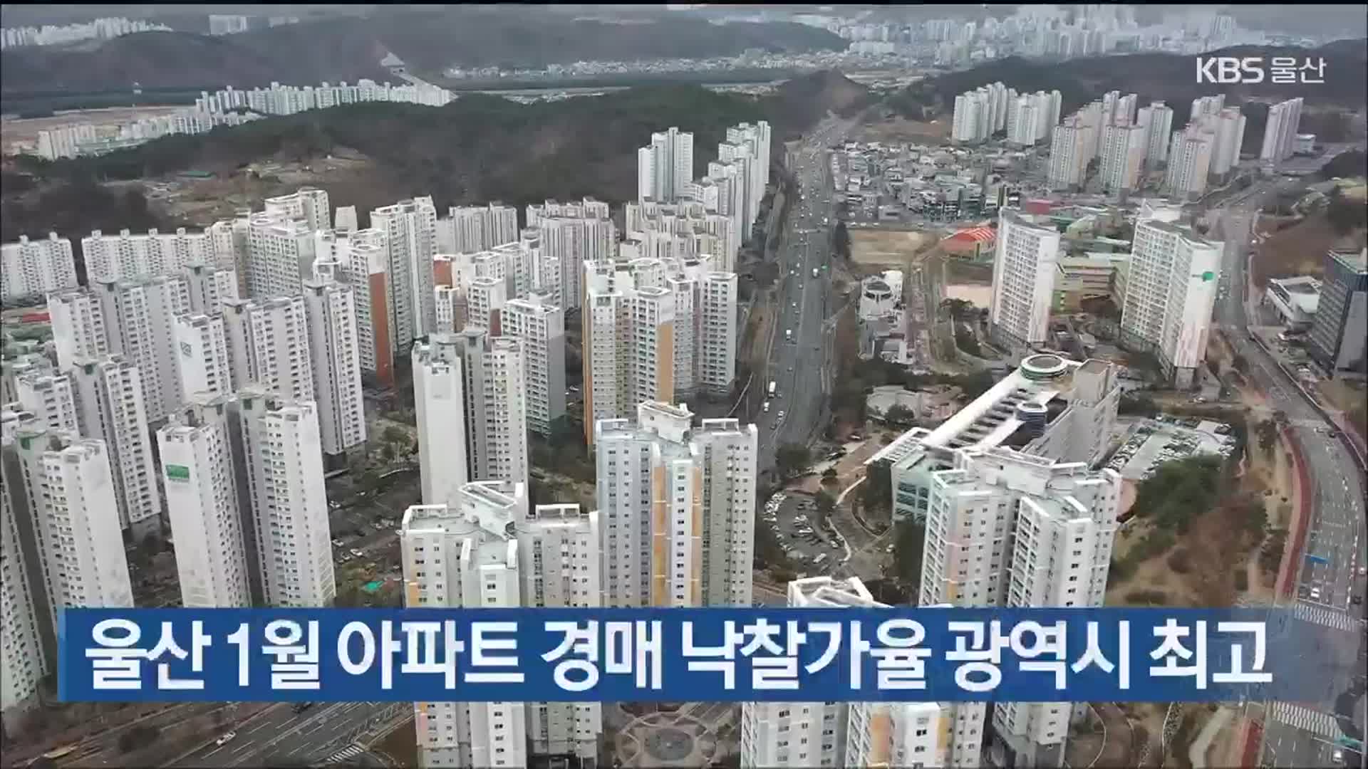 울산 1월 아파트 경매 낙찰가율 광역시 최고