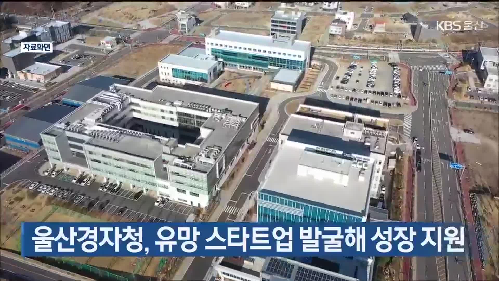 울산경자청, 유망 스타트업 발굴해 성장 지원