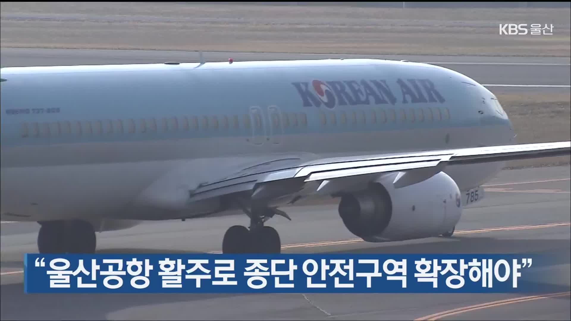 “울산공항 활주로 종단 안전구역 확장해야”