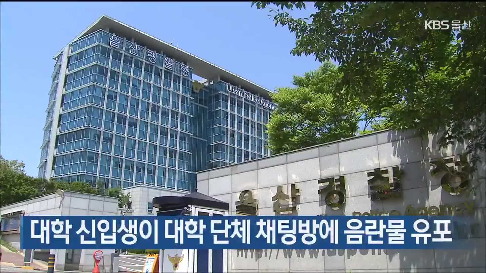 대학 신입생이 대학 단체 채팅방에 음란물 유포