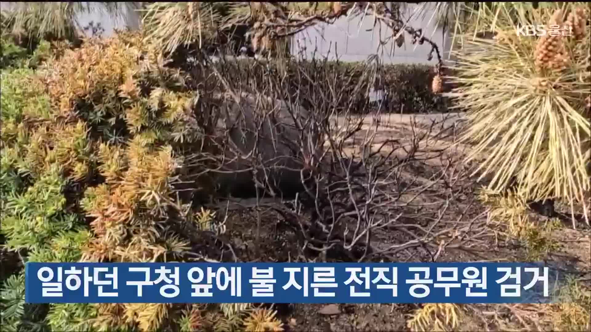 일하던 구청 앞에 불 지른 전직 공무원 검거