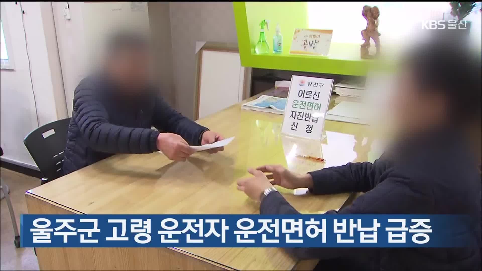 울주군 고령 운전자 운전면허 반납 급증