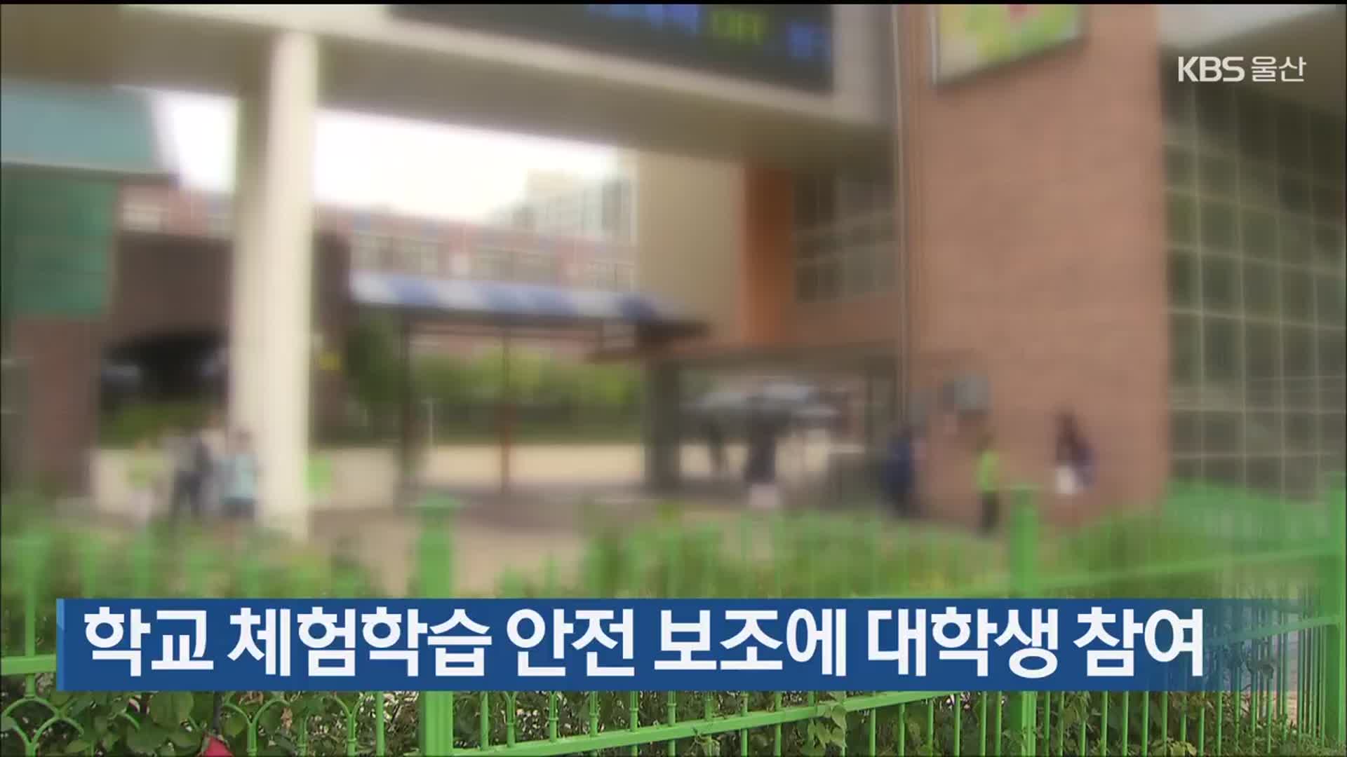 학교 체험학습 안전 보조에 대학생 참여