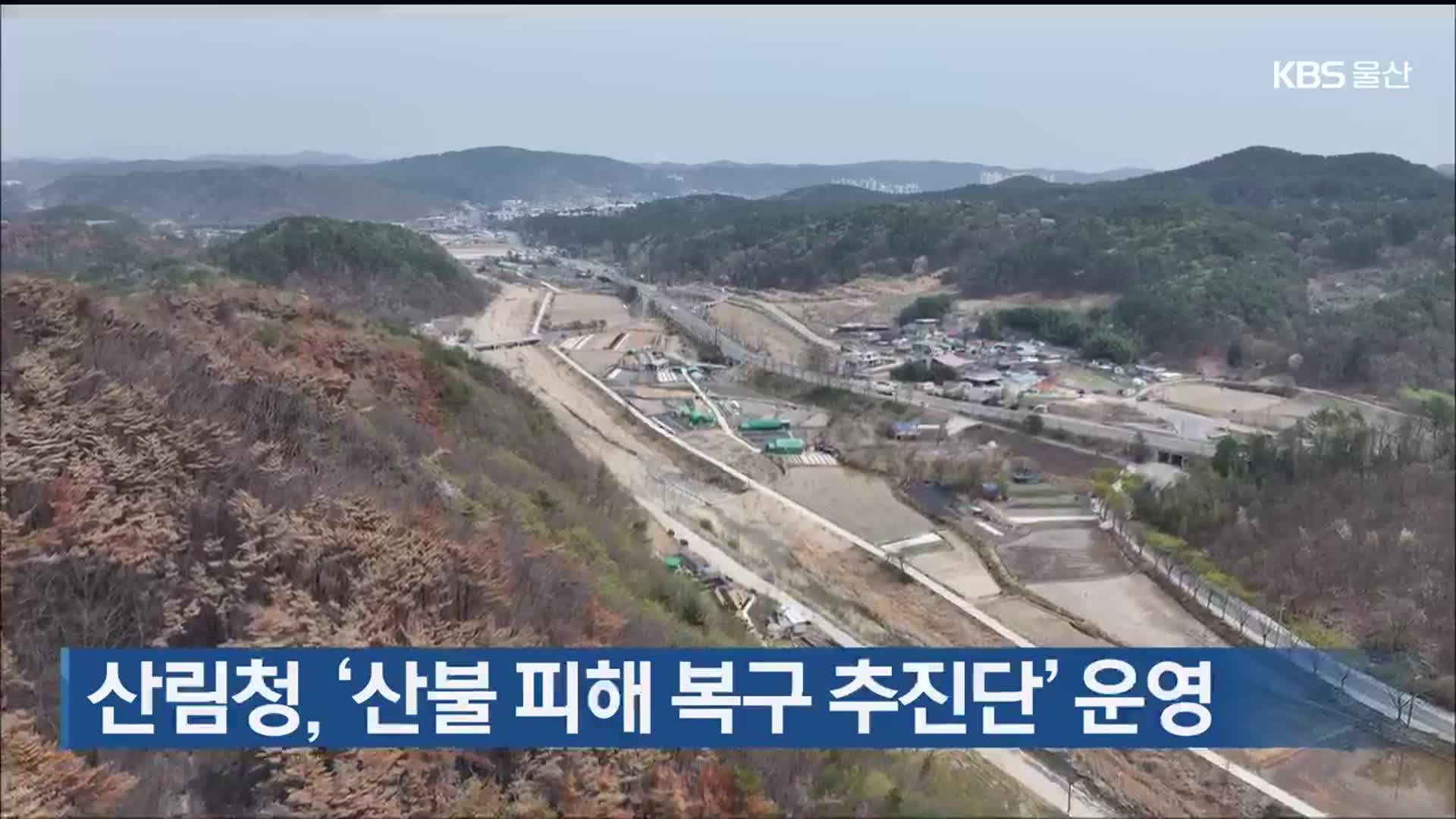 산림청, ‘산불 피해 복구 추진단’ 운영