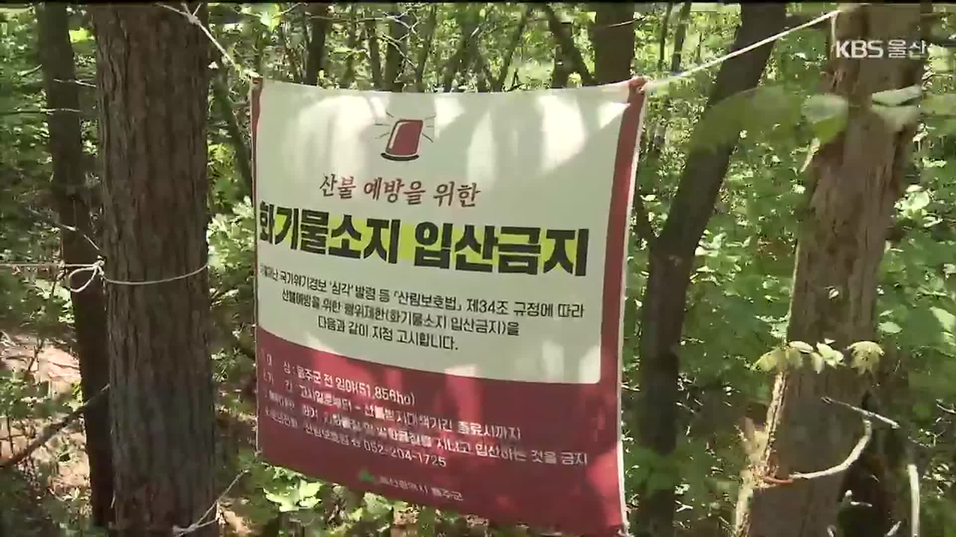 완등 인증에 영남알프스 등산객 북적…우려도