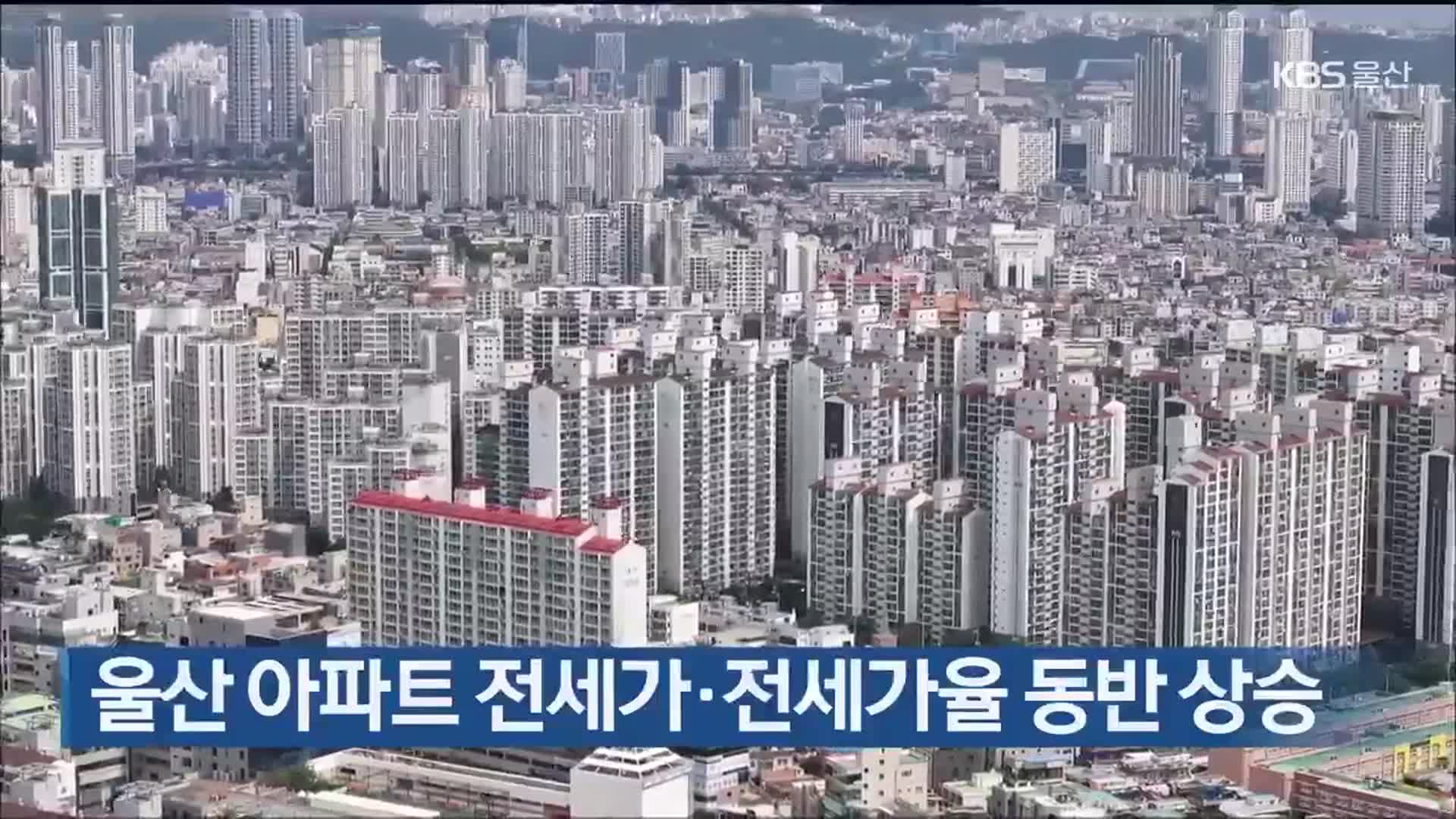 울산 아파트 전세가·전세가율 동반 상승