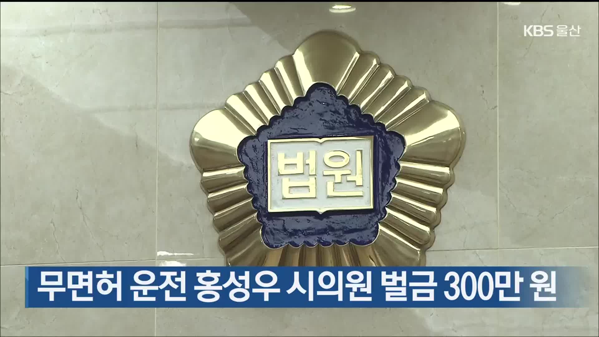 무면허 운전 홍성우 시의원 벌금 300만 원