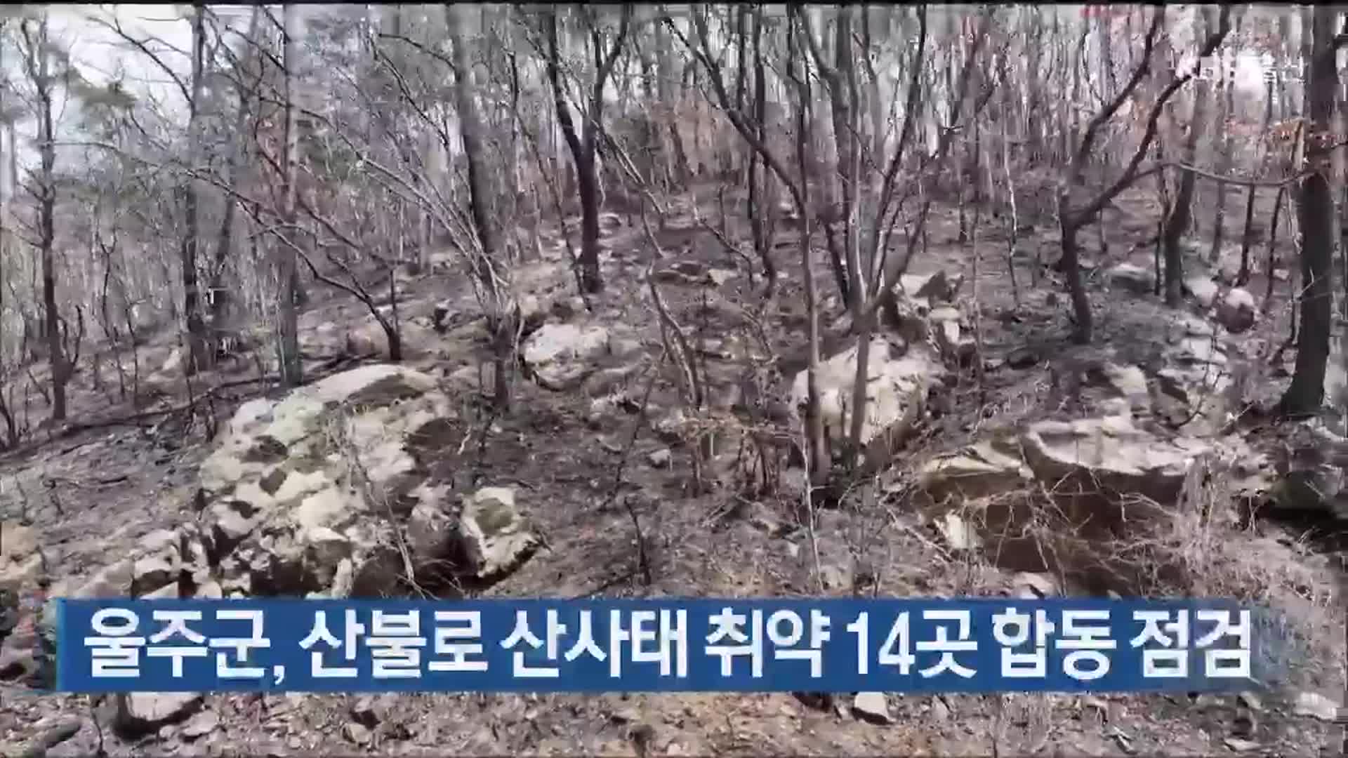 울주군, 산불로 산사태 취약 14곳 합동 점검
