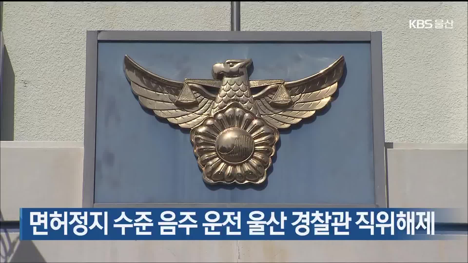 면허정지 수준 음주 운전 울산 경찰관 직위해제
