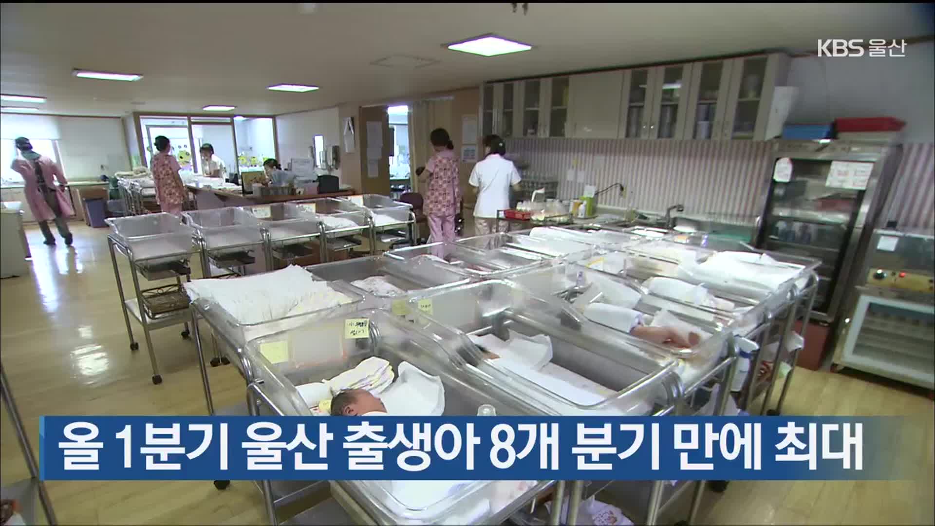 올 1분기 울산 출생아 8개 분기 만에 최대