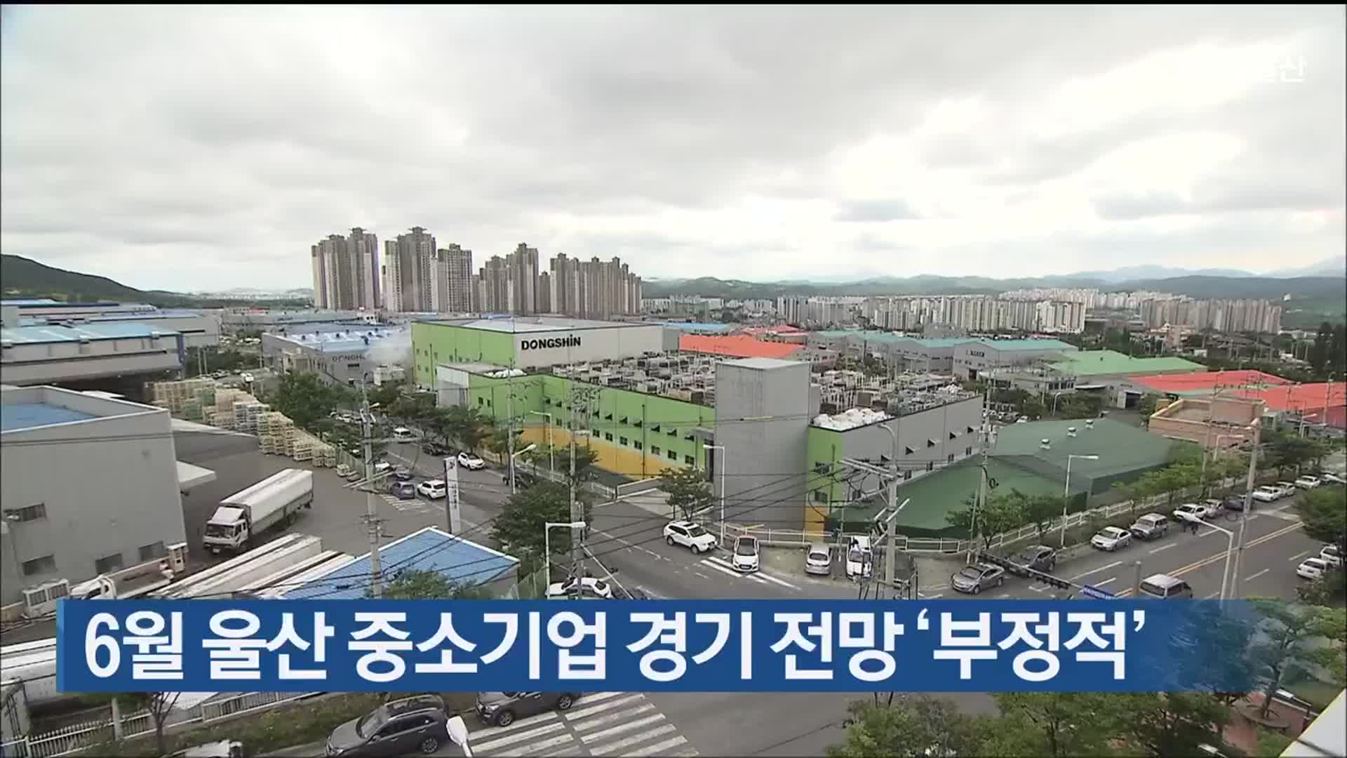 6월 울산 중소기업 경기 전망 ‘부정적’
