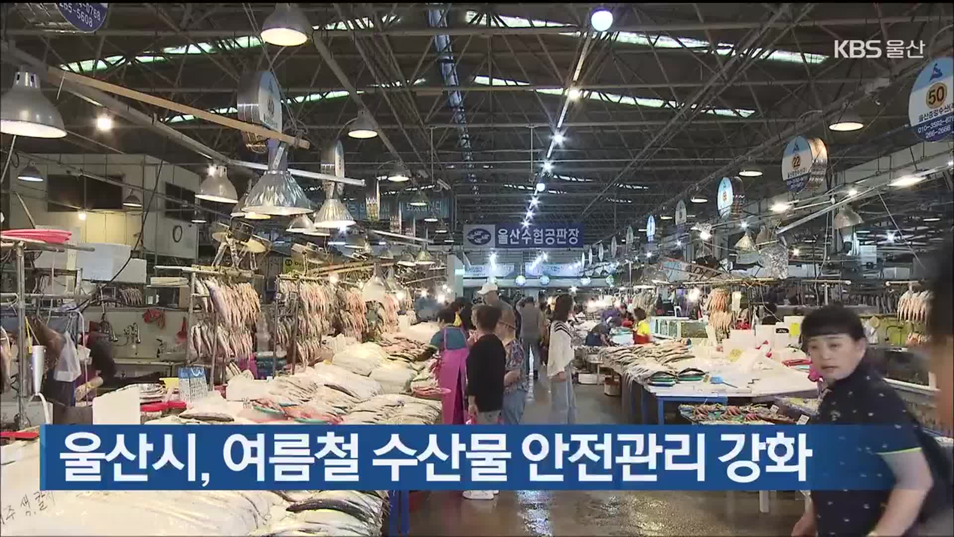 울산시, 여름철 수산물 안전관리 강화