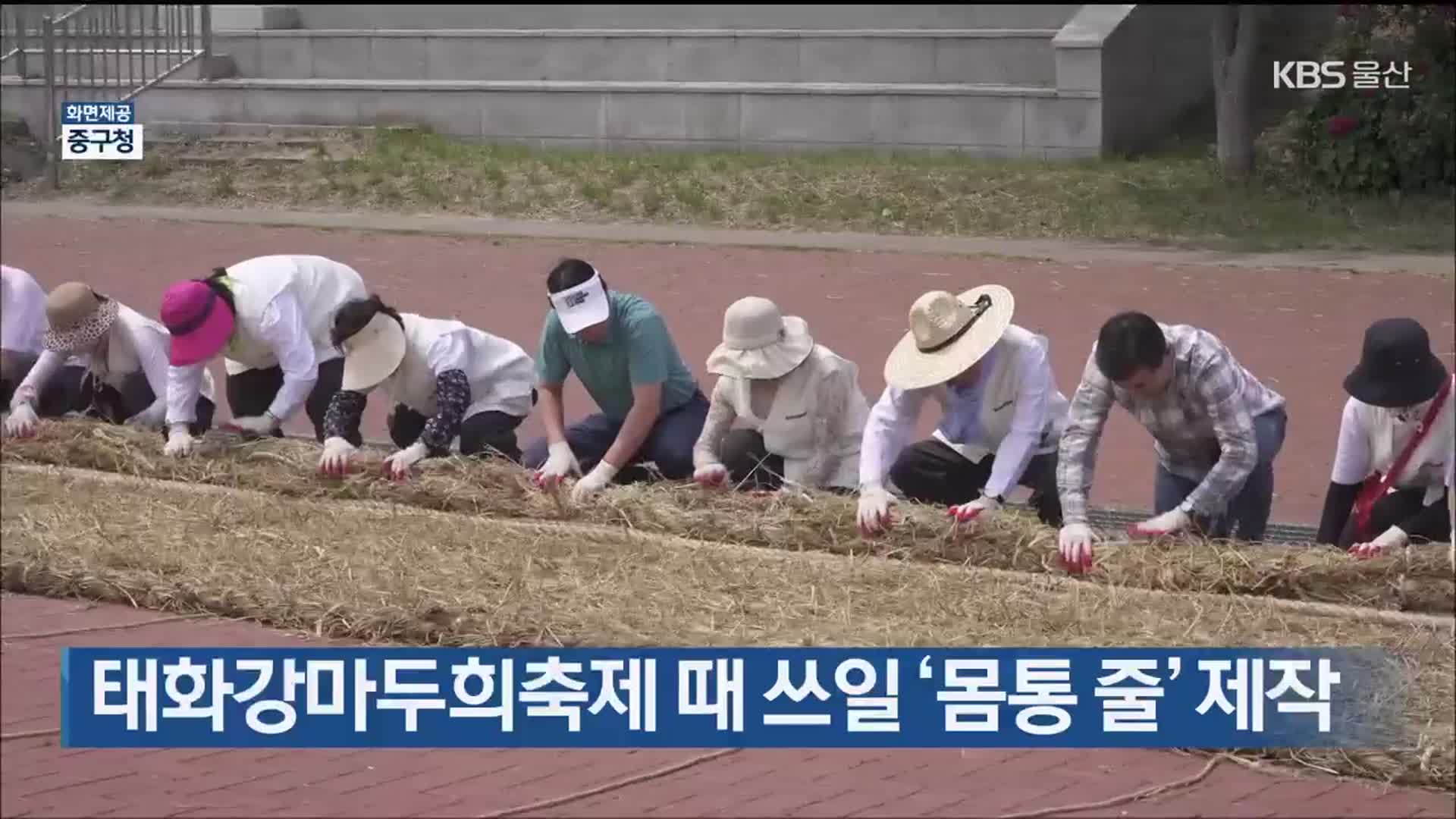 태화강마두희축제 때 쓰일 ‘몸통 줄’ 제작