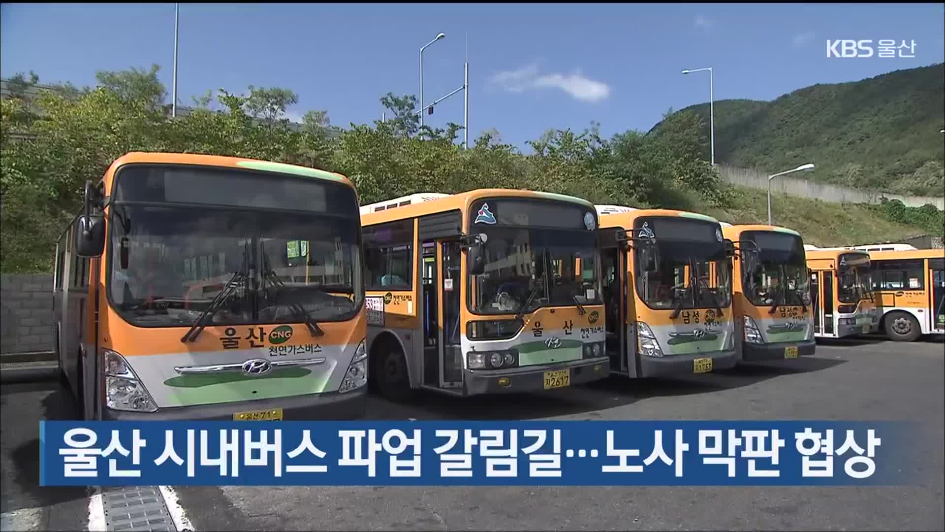 울산 시내버스 파업 갈림길…노사 막판 협상