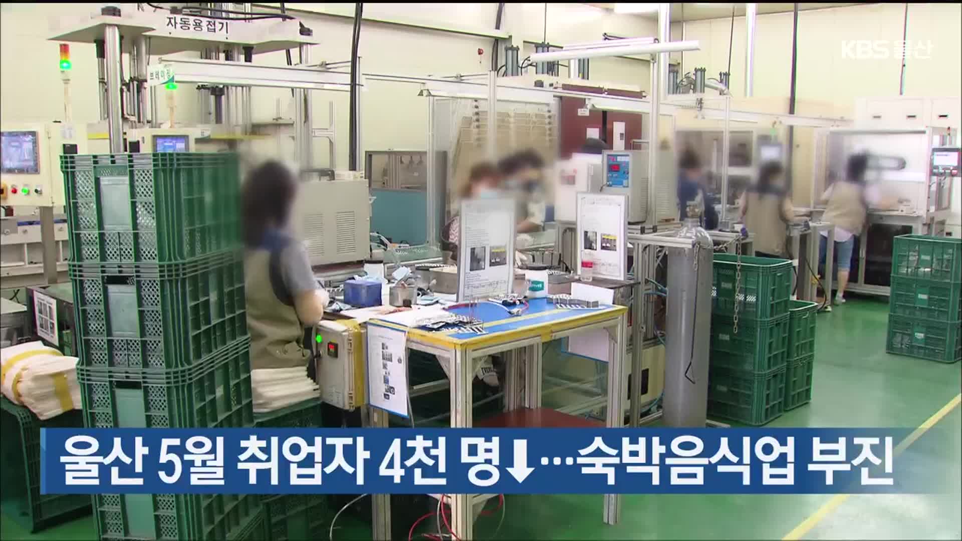 울산 5월 취업자 4천 명↓…숙박음식업 부진